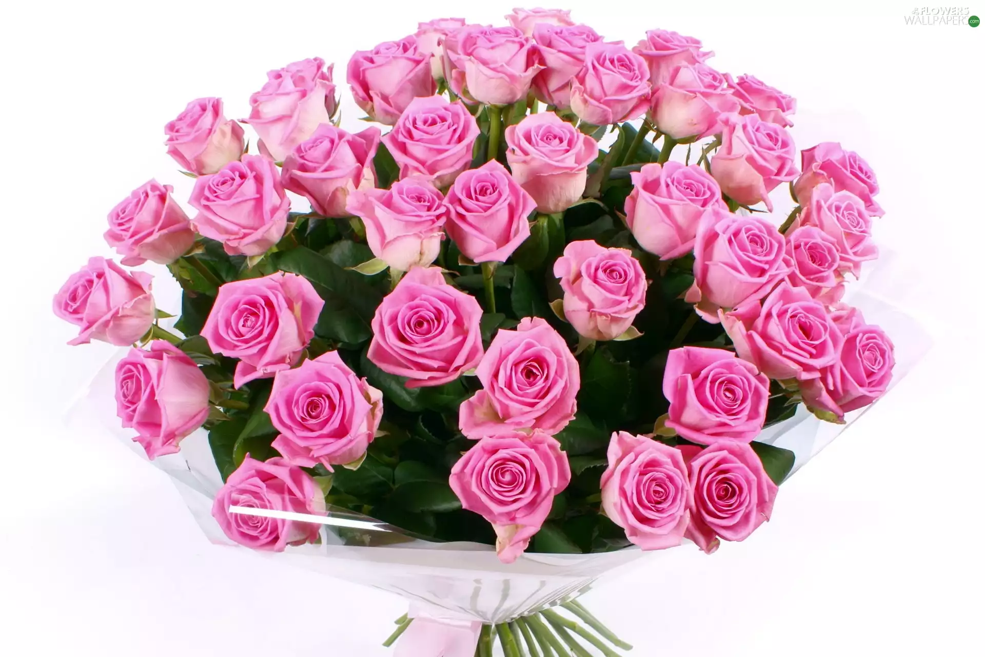 roses, bouquet, Flowers