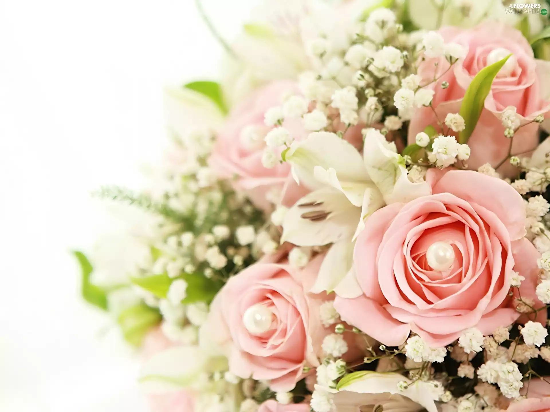 roses, bouquet, flowers