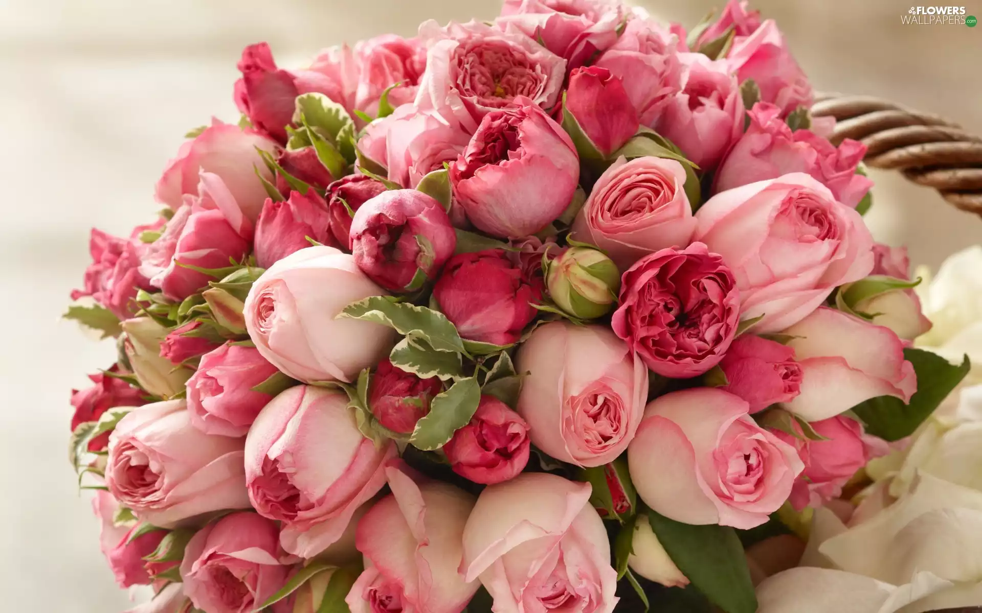 Flowers, Pink, bouquet, roses