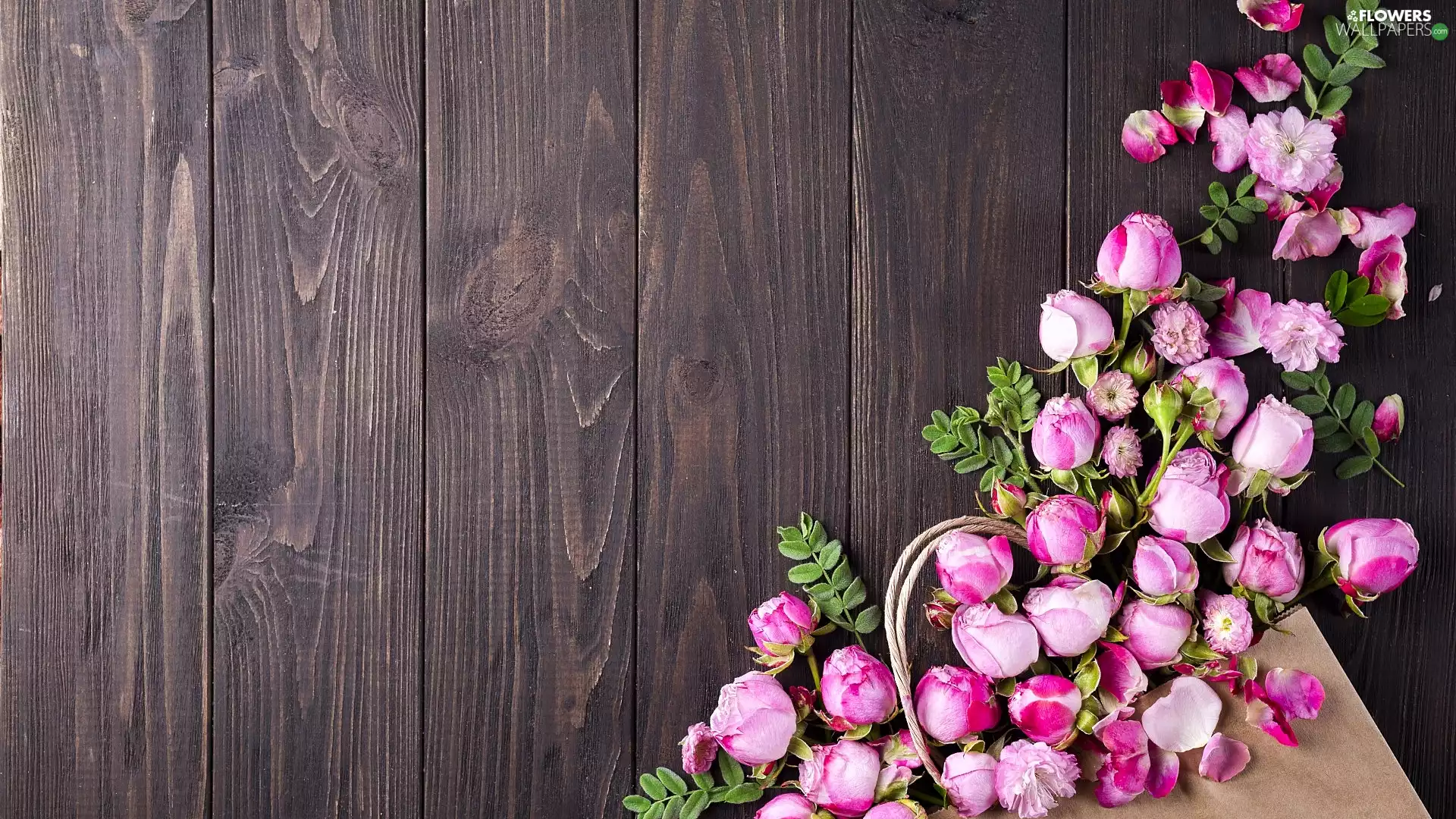 Flowers, boarding, card, roses