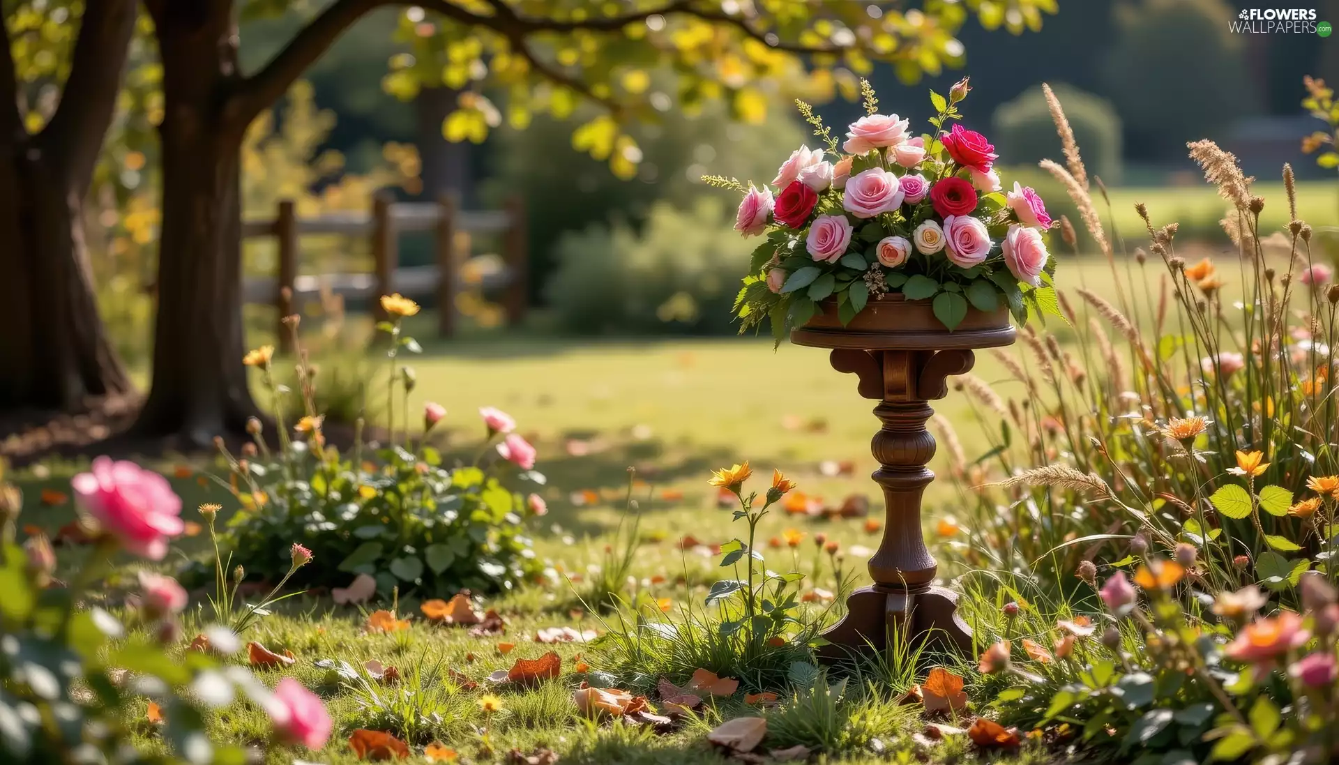 Flowers, stand, flowerbed, roses