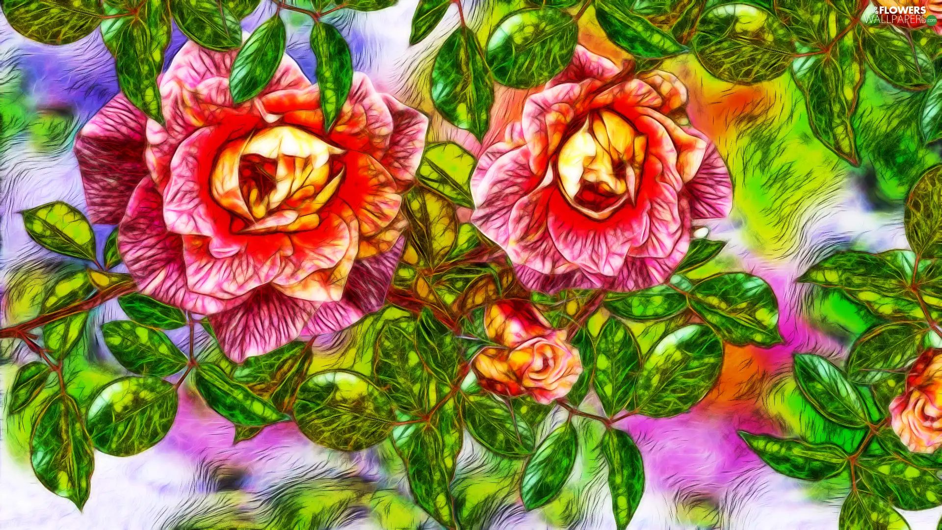 Flowers, graphics, Fractalius, roses