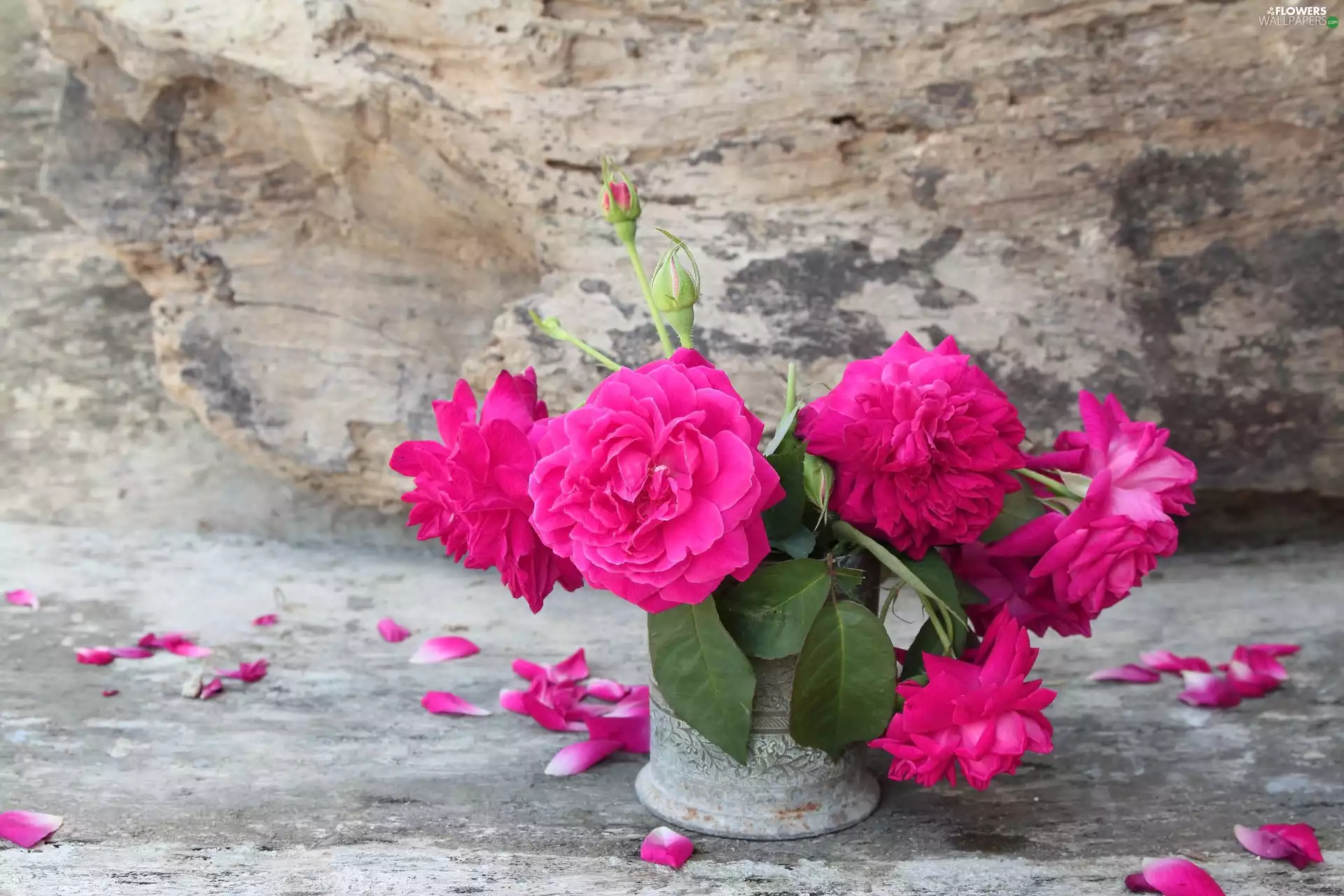Vase, rocks, Gardening Roses, Pink, Flowers