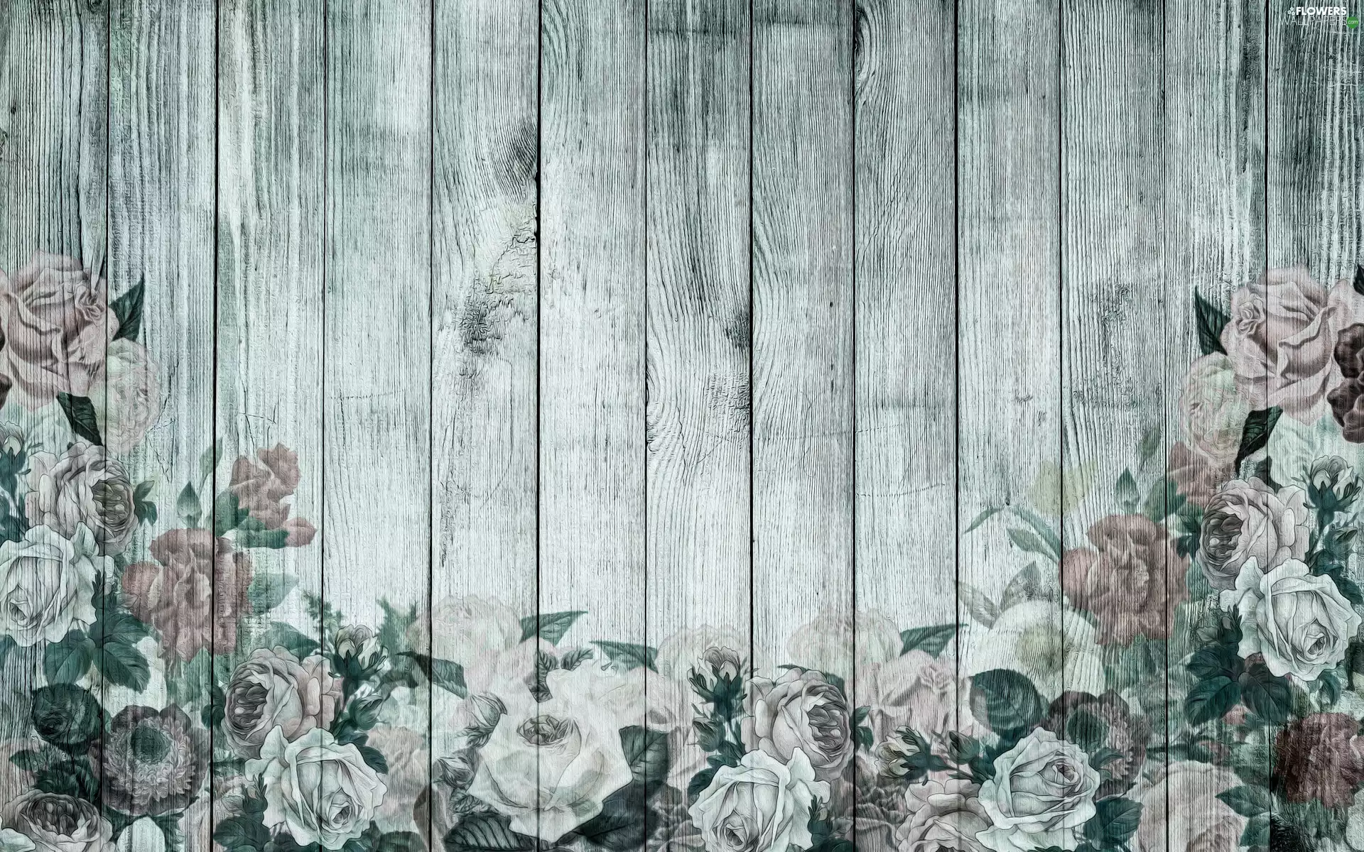 Flowers, boarding, graphics, roses