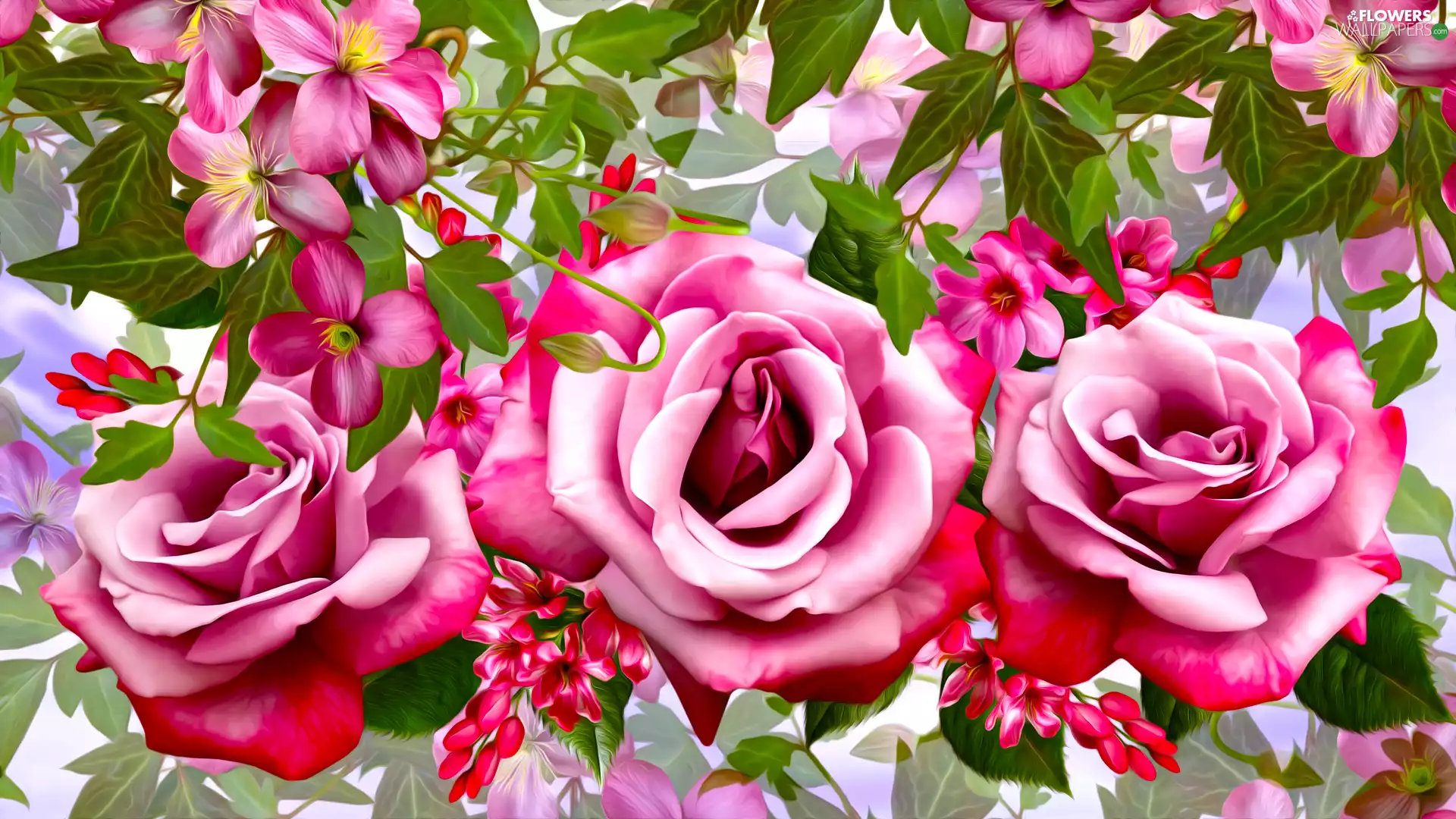 Flowers, Clematis, graphics, roses