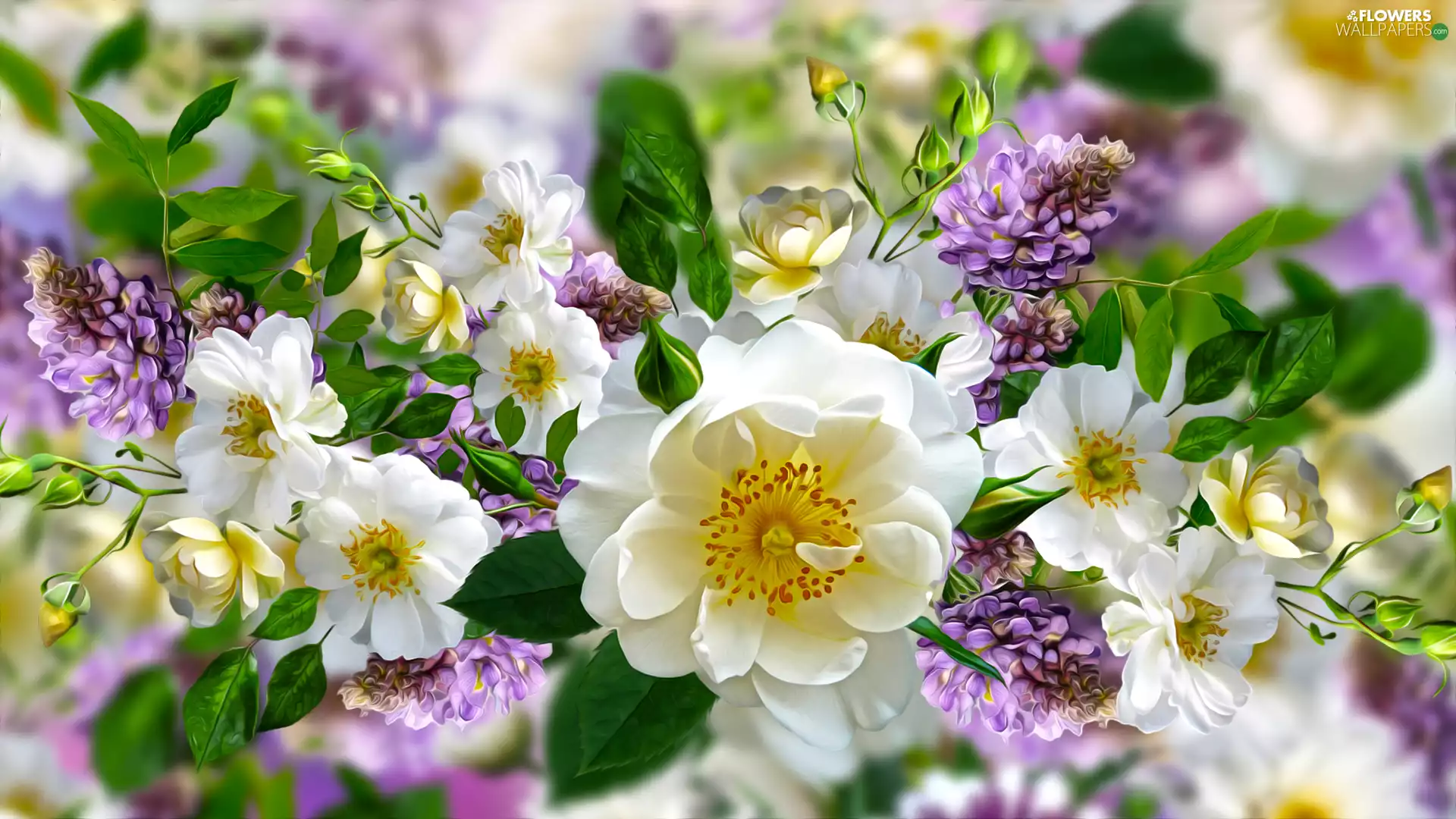 Flowers, lupine, graphics, roses