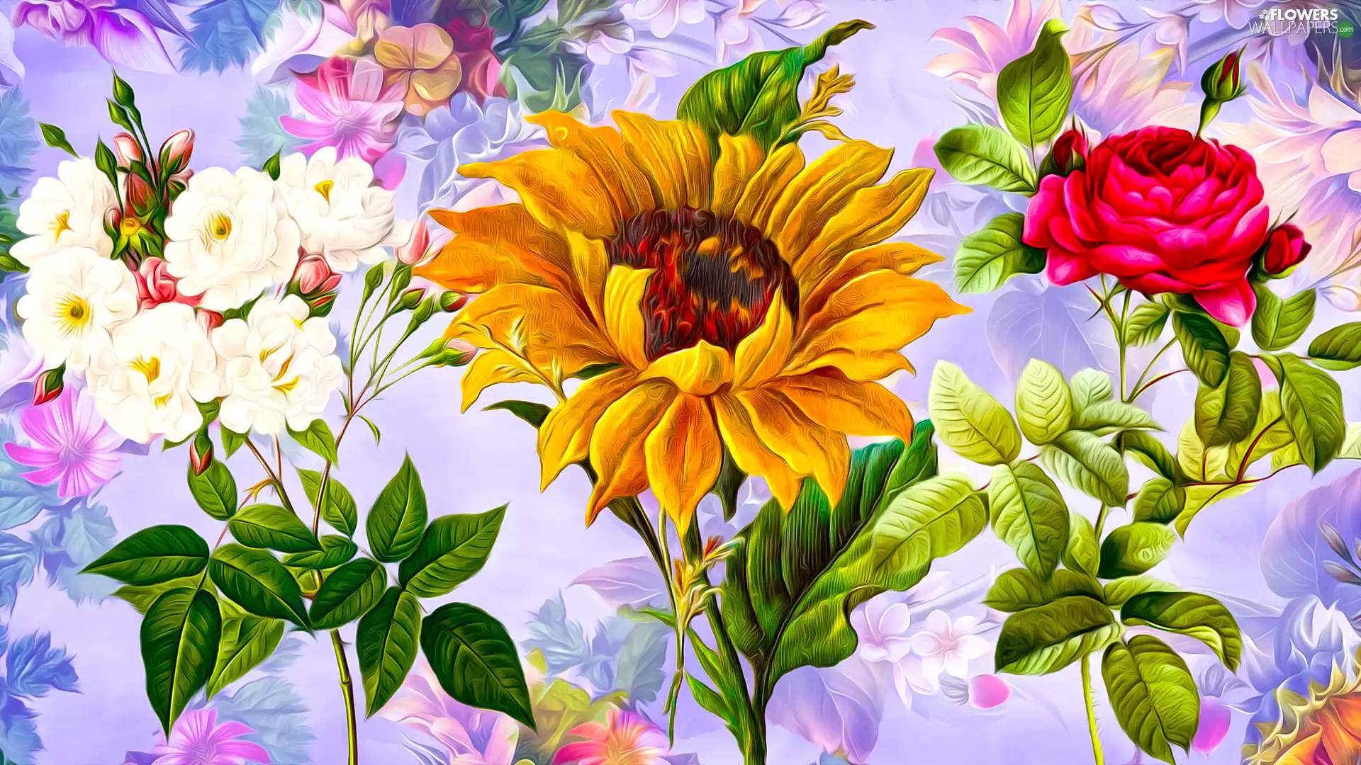 Flowers, Sunflower, graphics, roses