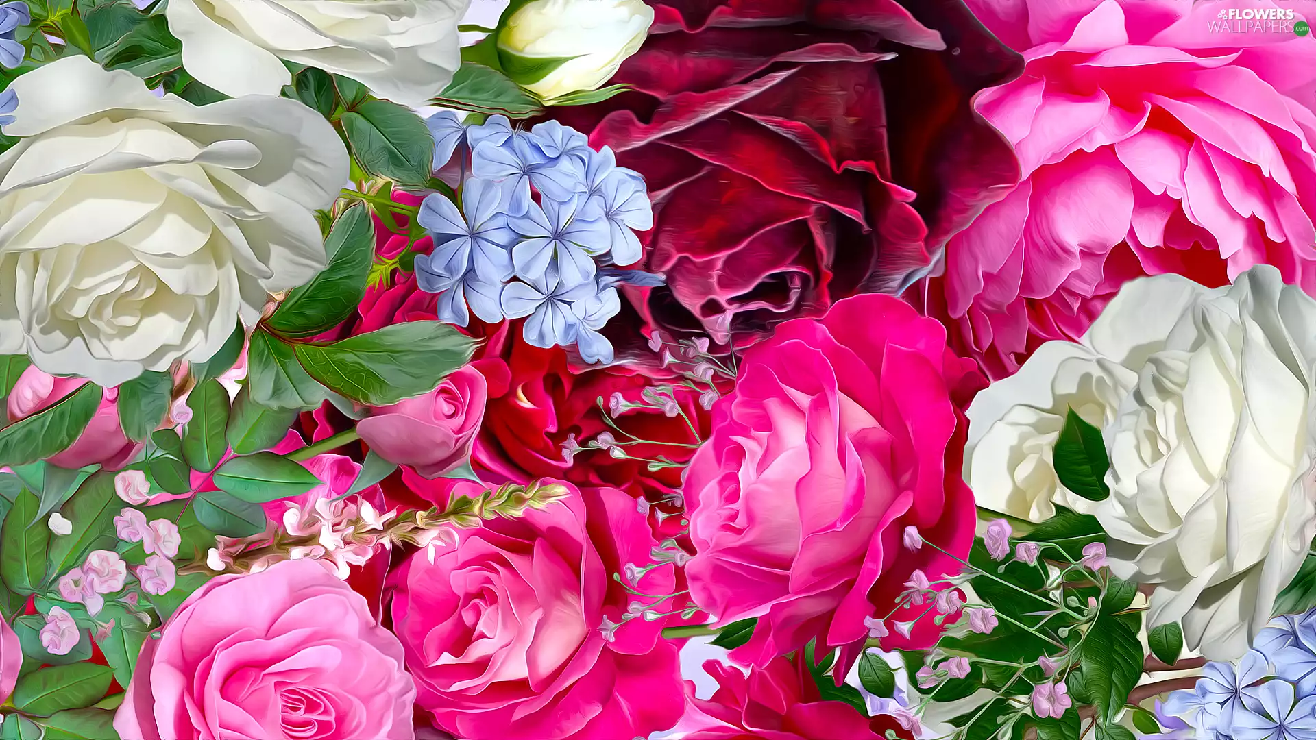 Pink, roses, Flowers, White, graphics