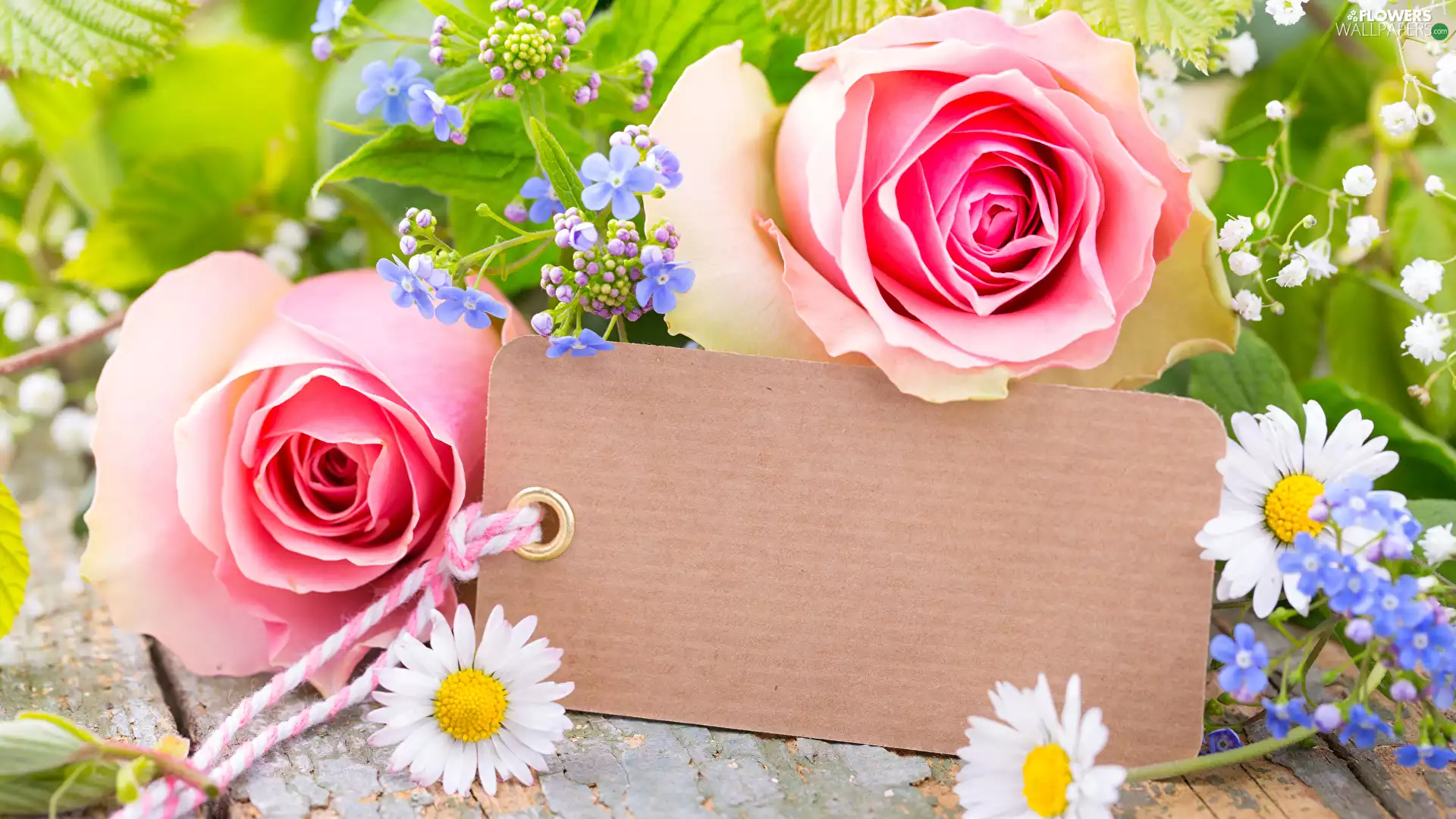 Flowers, daisies, Pendant, roses