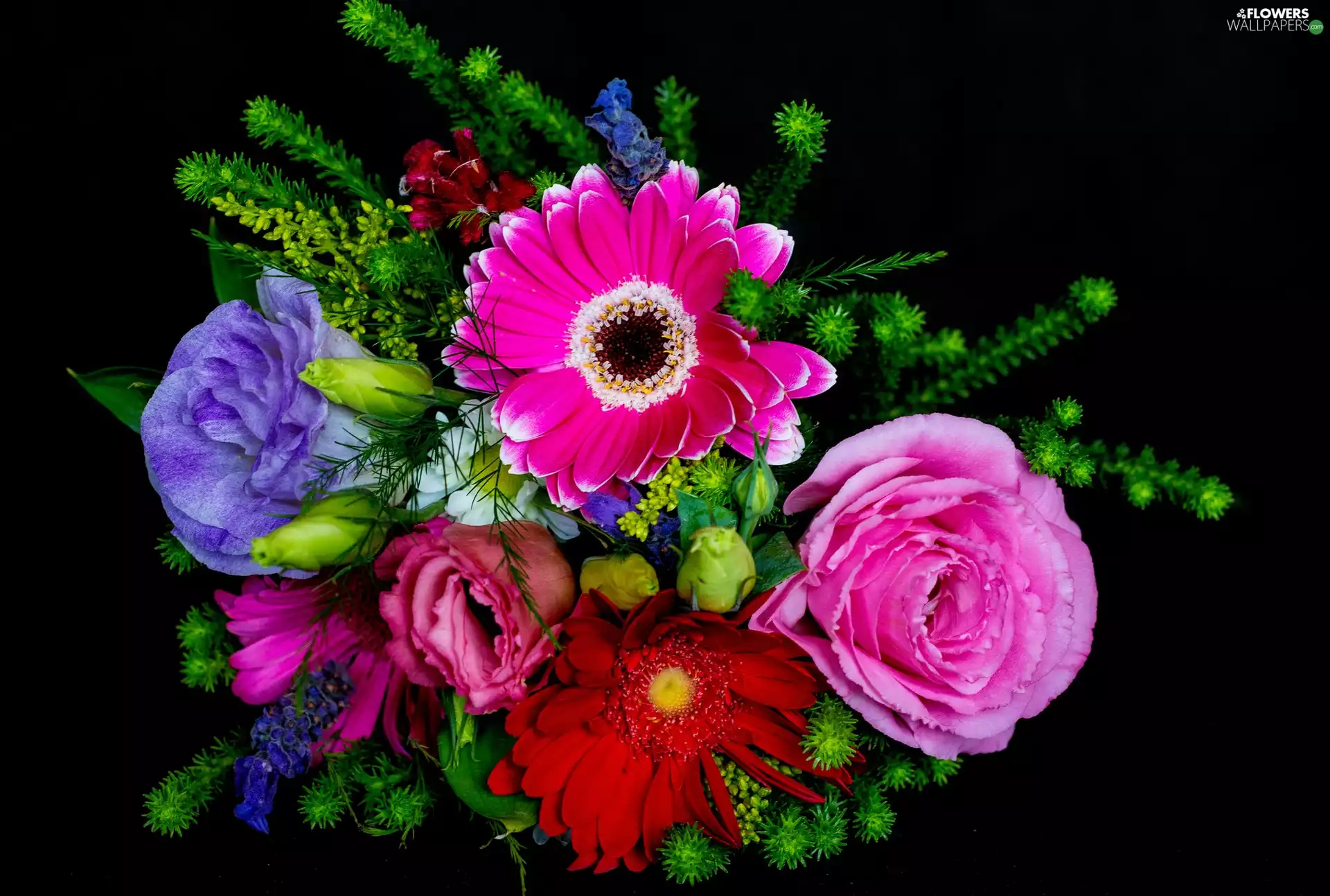 gerberas, small bunch, roses