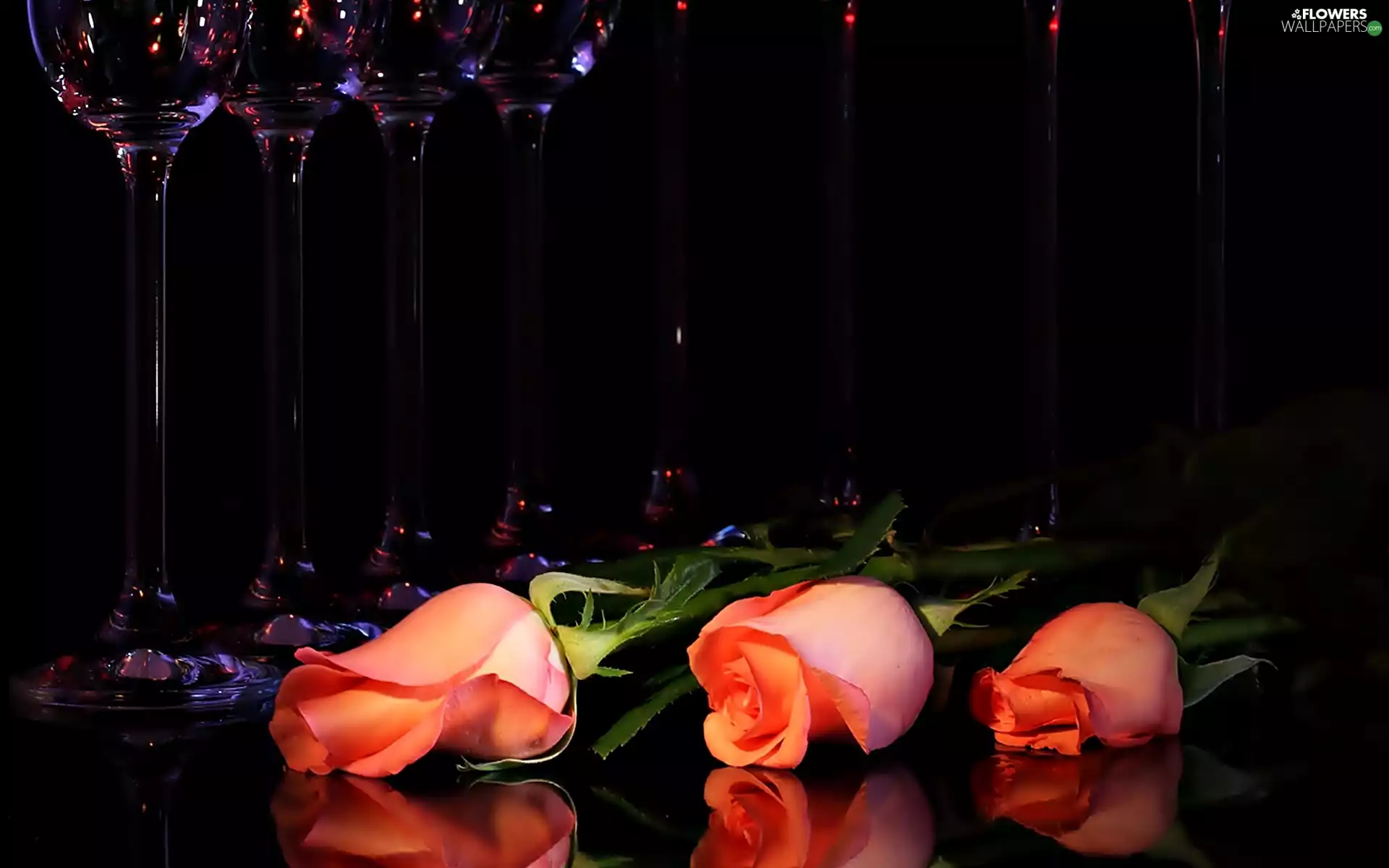 Pink Roses, glasses, composition, reflection