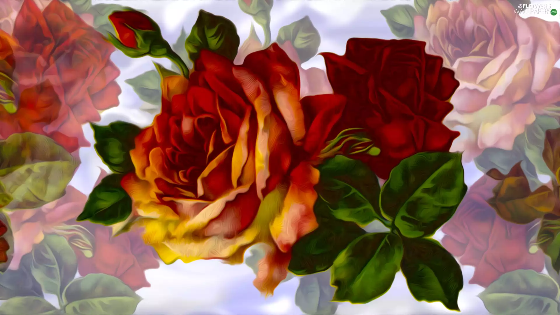 rose, Colorful Background, roses, developed, graphics