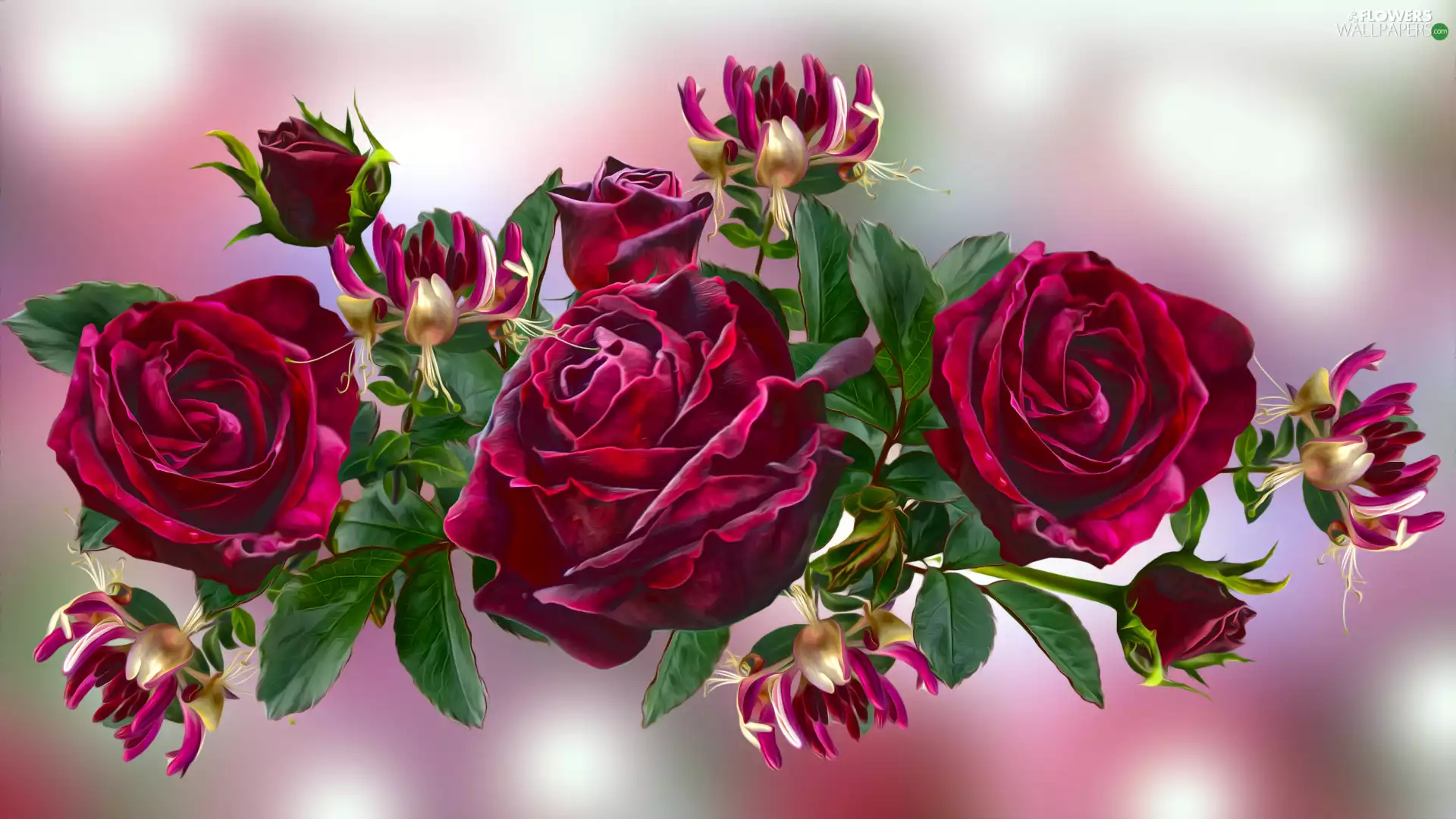 Flowers, roses, graphics, Dark Red