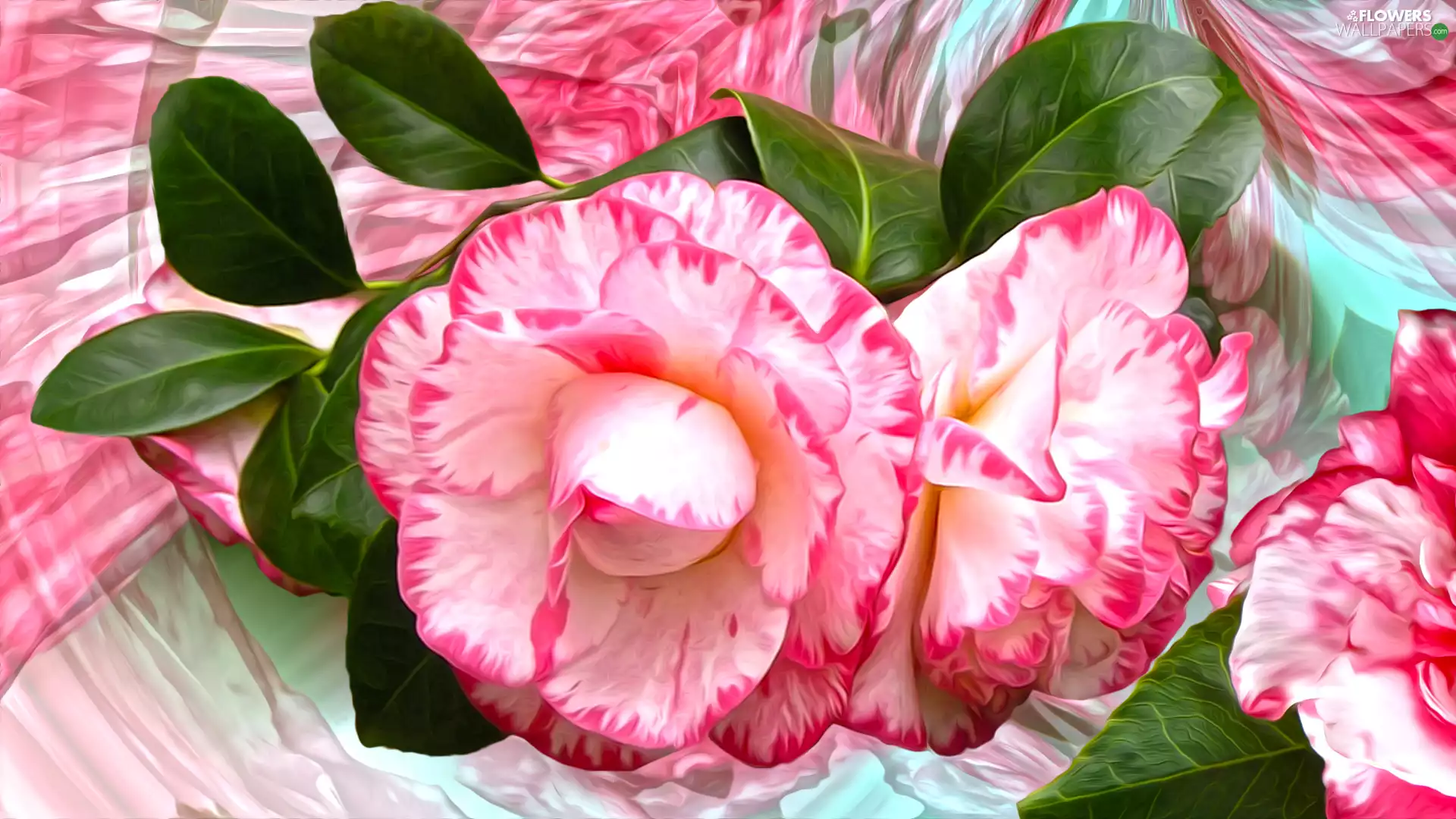 Flowers, roses, graphics, Two tone