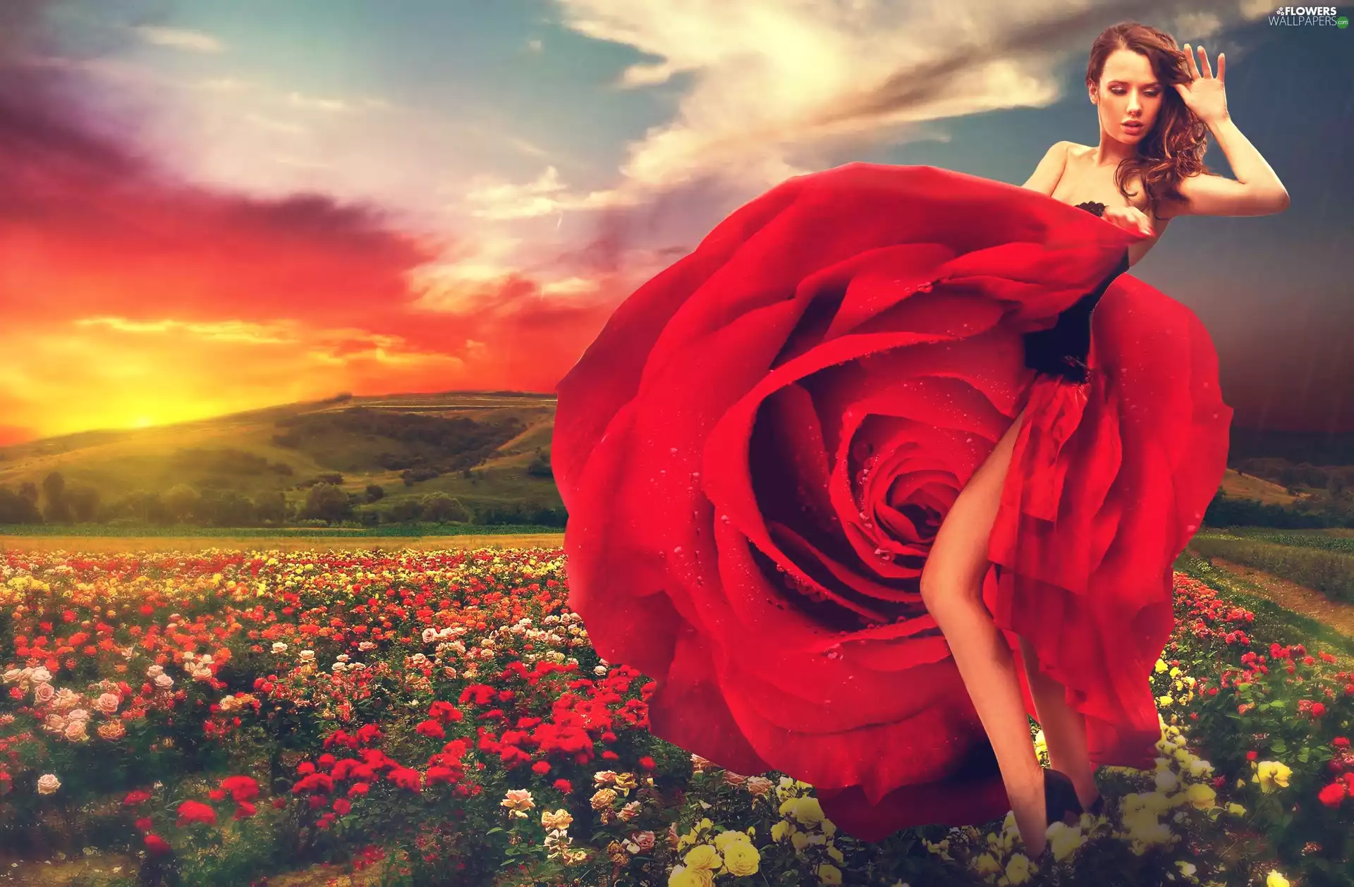 Great Sunsets, Women, roses