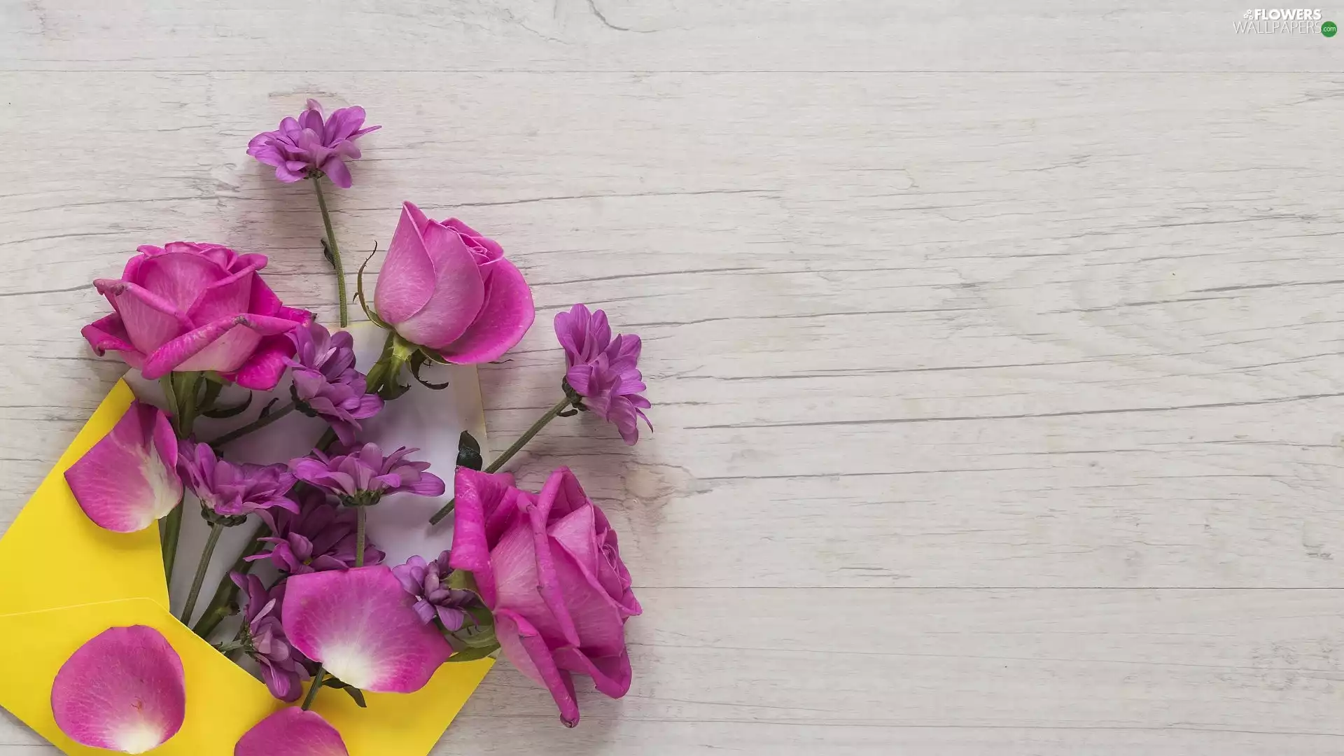 Chrysanthemums, boarding, envelope, roses, Yellow Honda