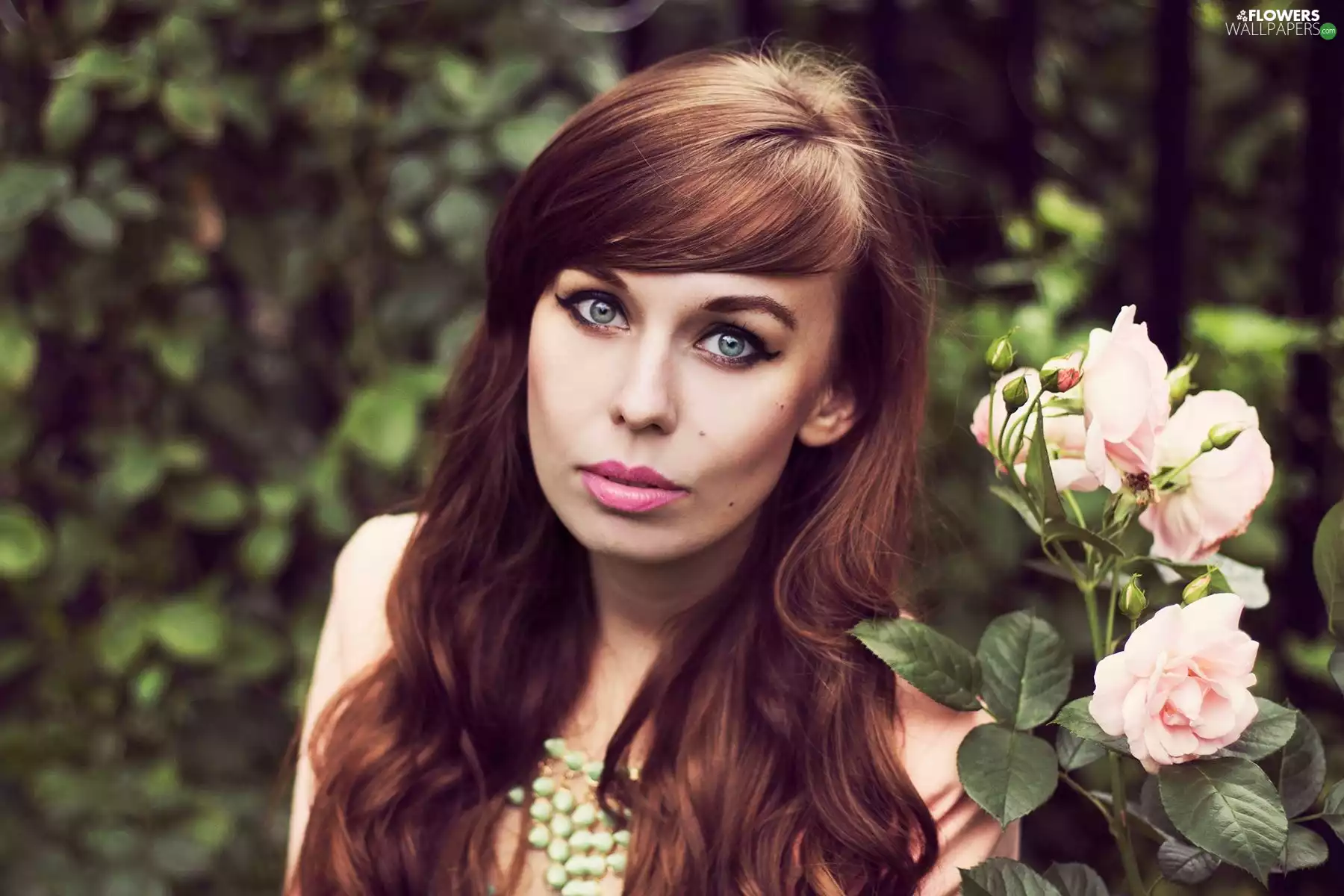 Women, Pink, roses, light brown