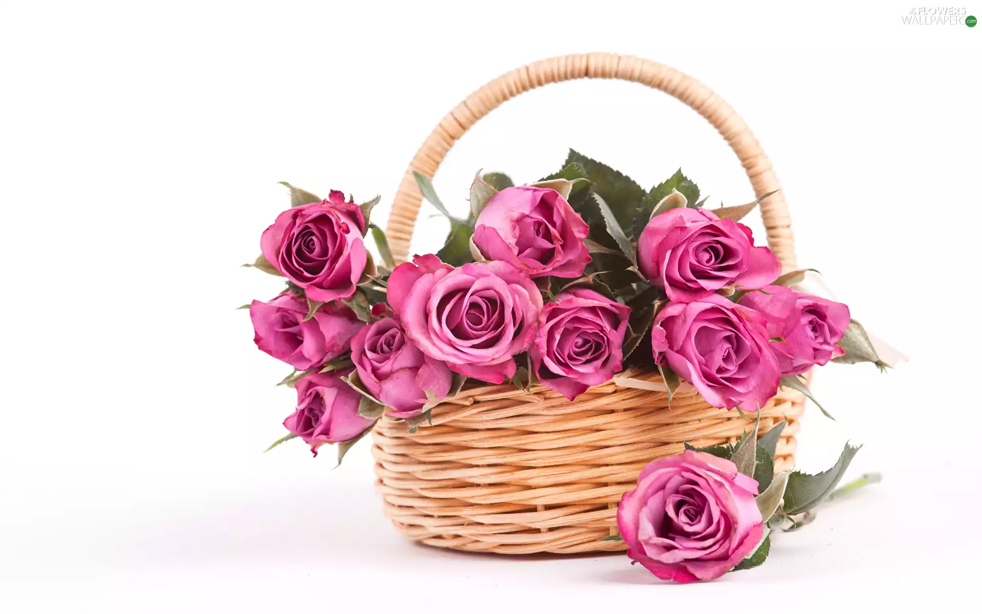 basket, white background, roses, wicker, Pink