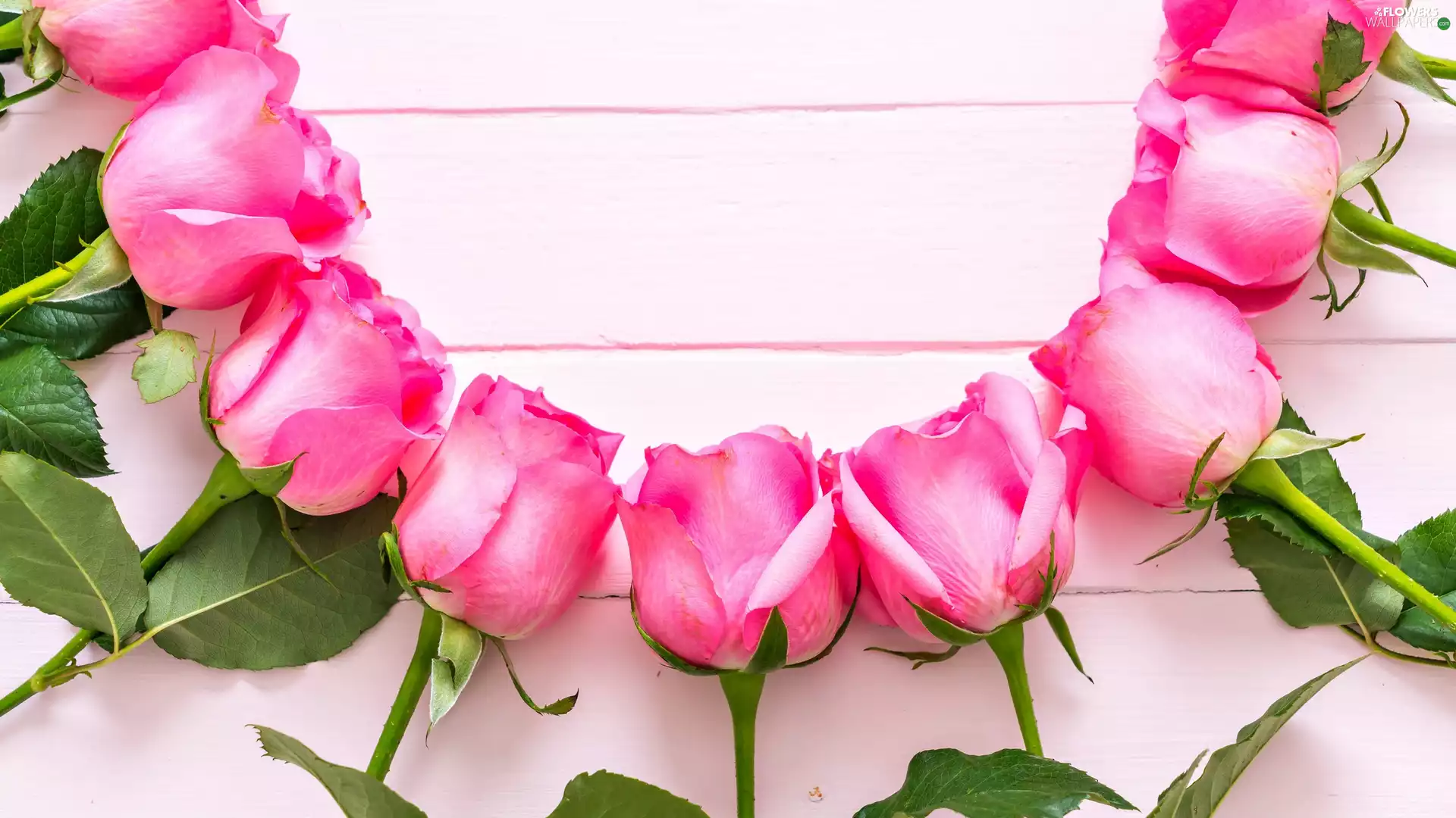 Pink, semicircle, boarding, roses