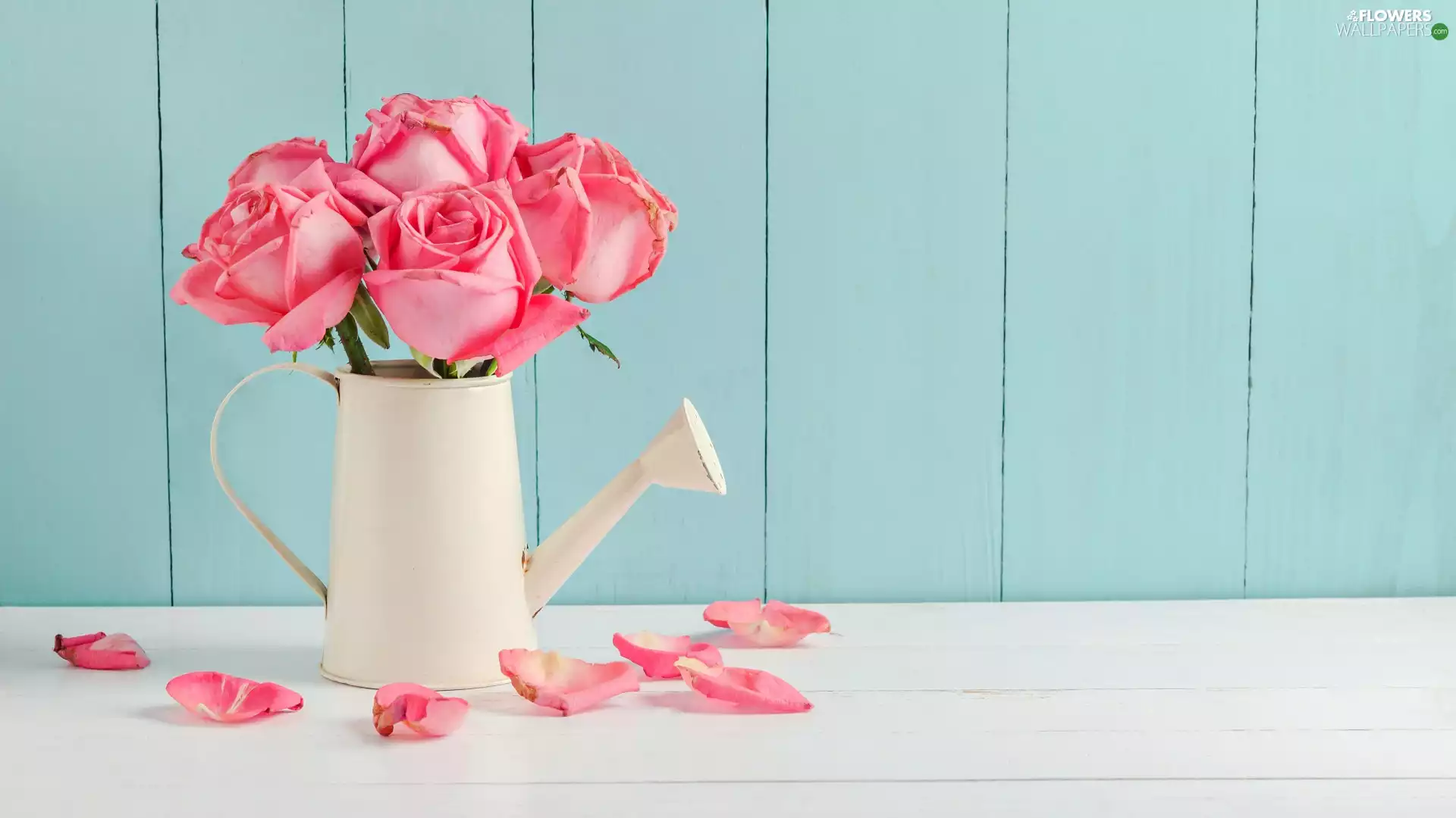 White, watering can, roses, flakes, Pink