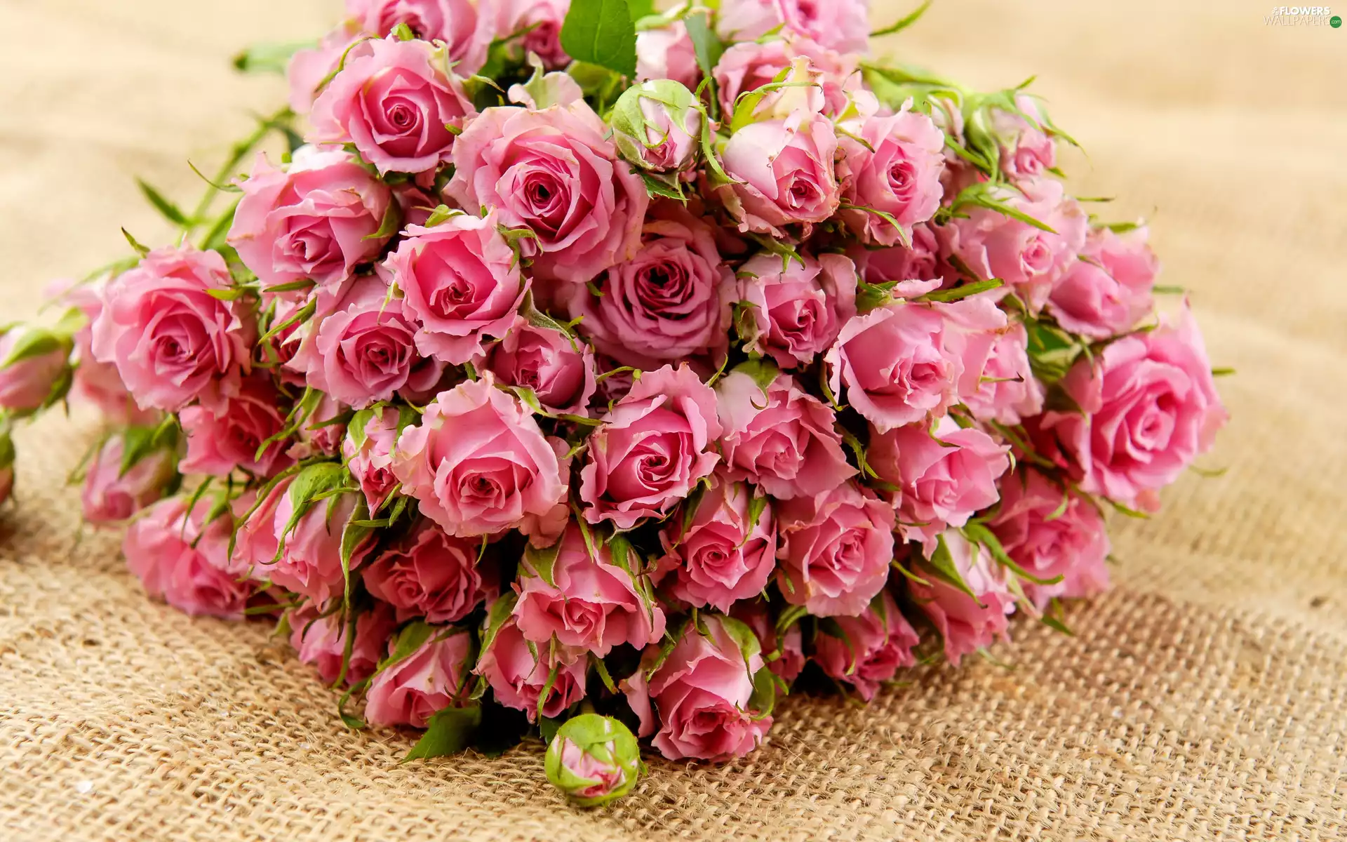 bouquet, Flowers, Pink, roses, Leaf, flakes, Buds