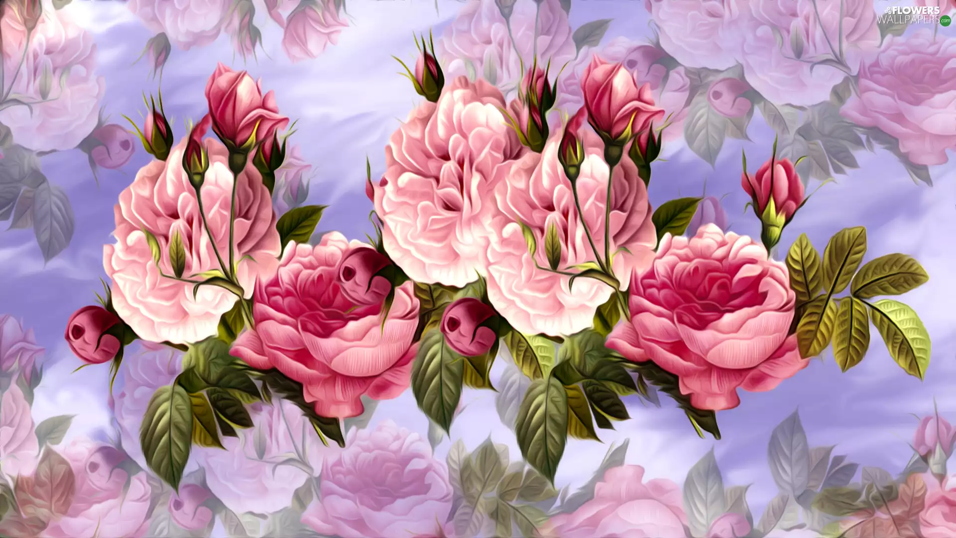 Pink, Buds, graphics, roses