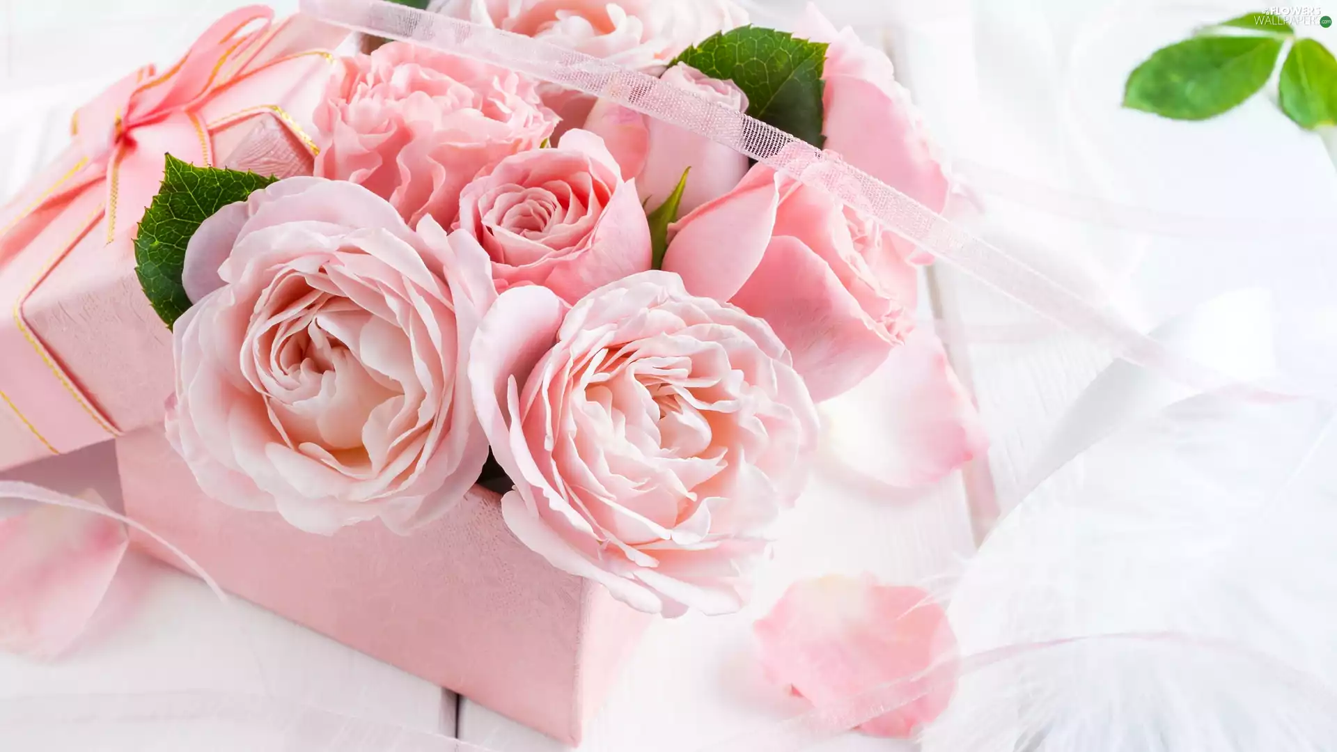 Pink, Box, ribbon, roses