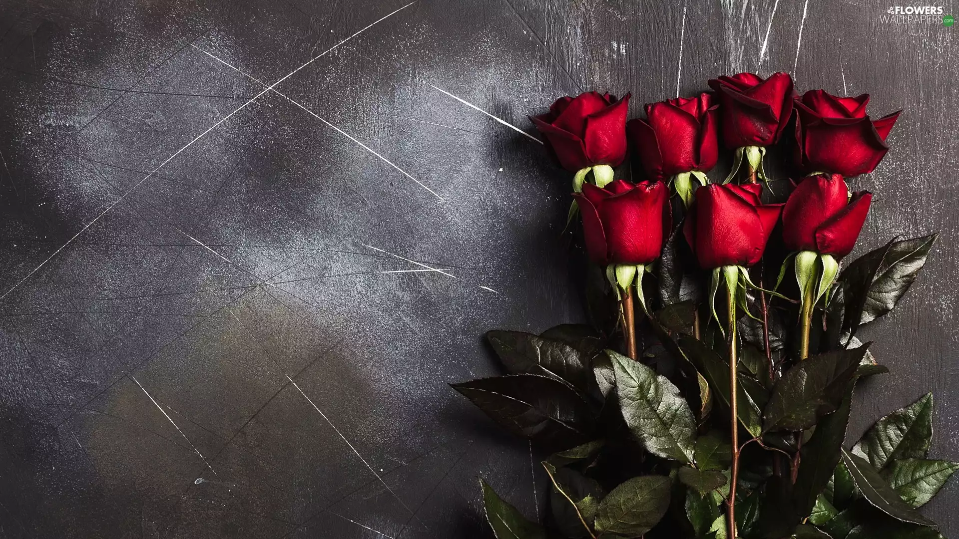 Red, Grey, background, roses