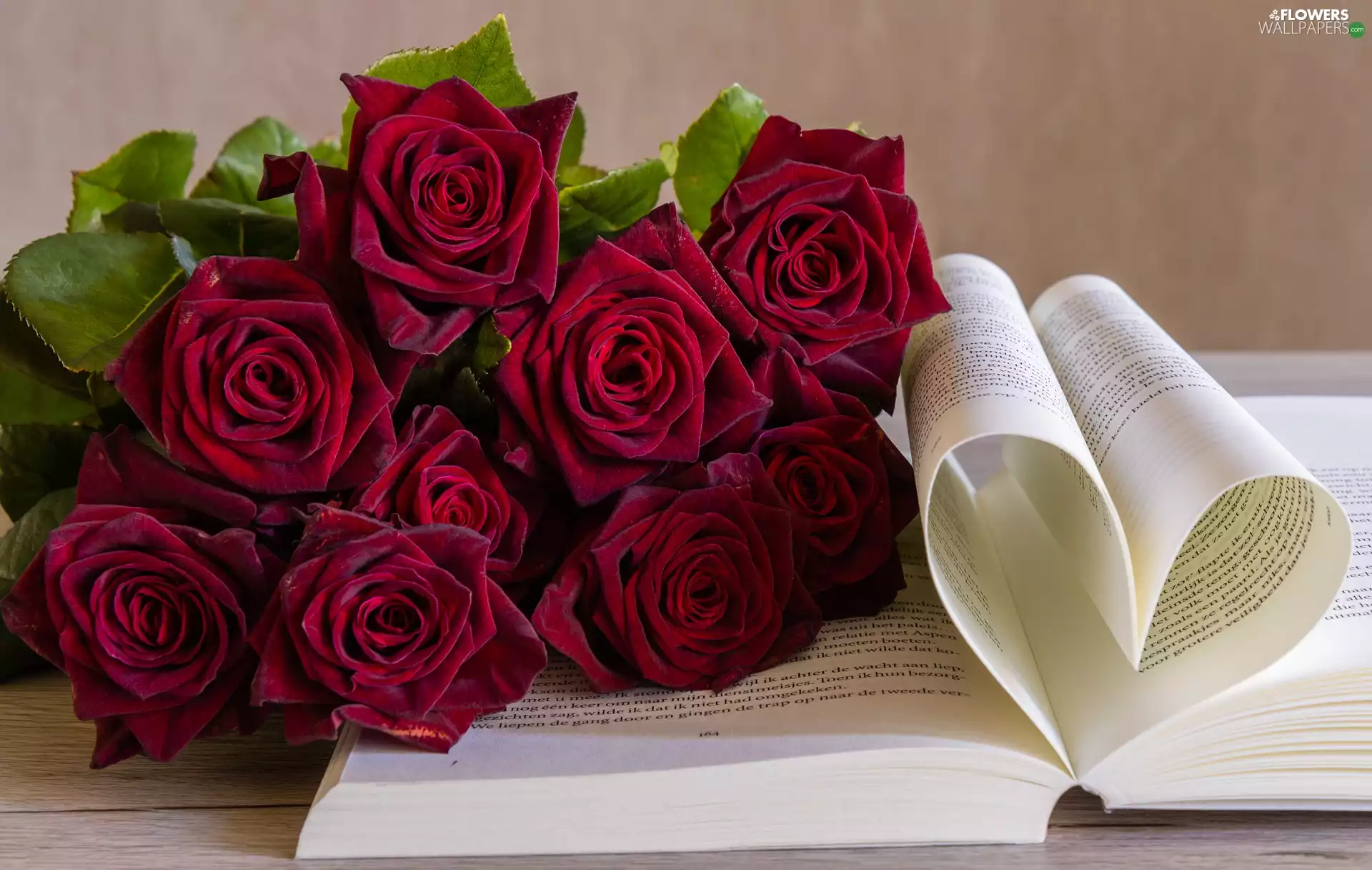 Red, bouquet, Book, roses