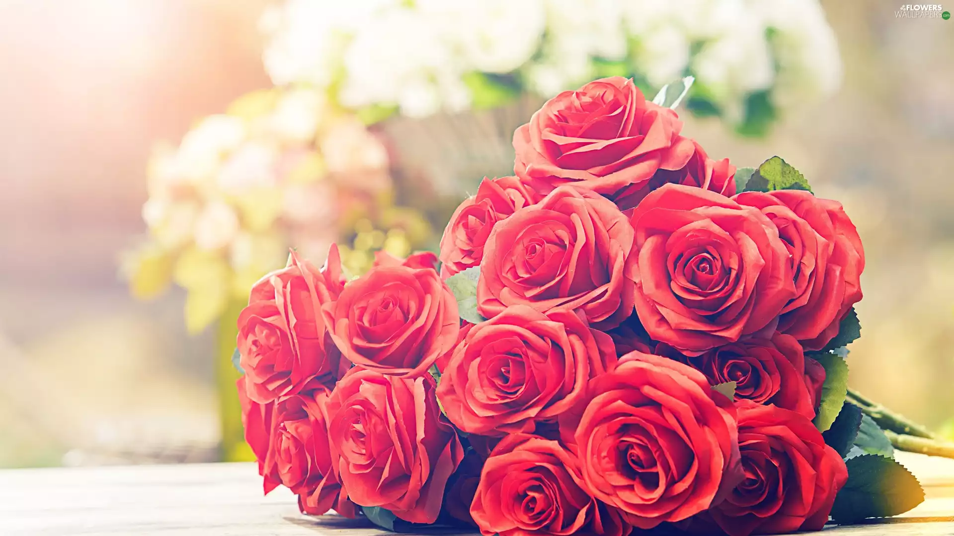 Red, lying, bouquet, roses