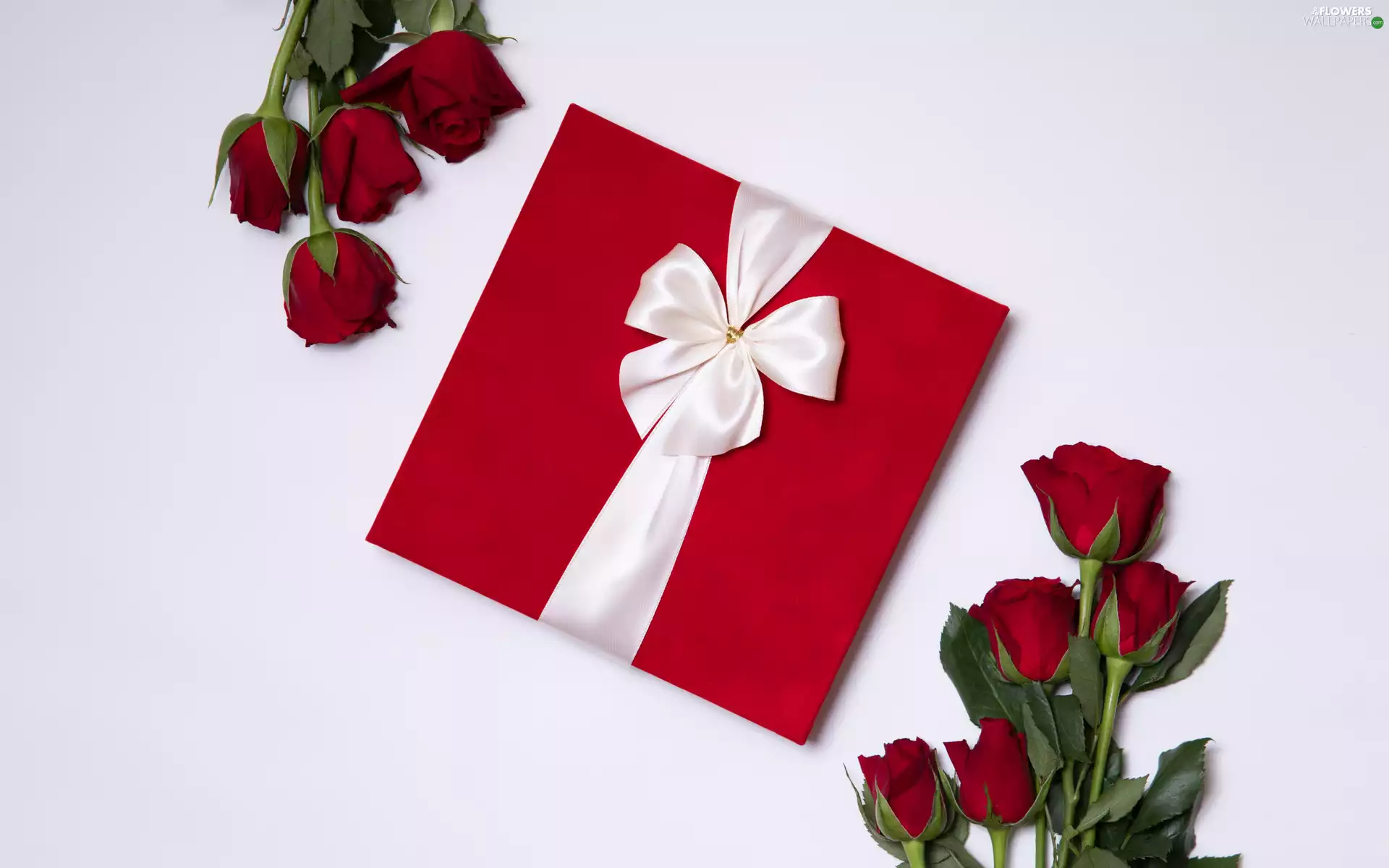 Red, Present, bow, roses