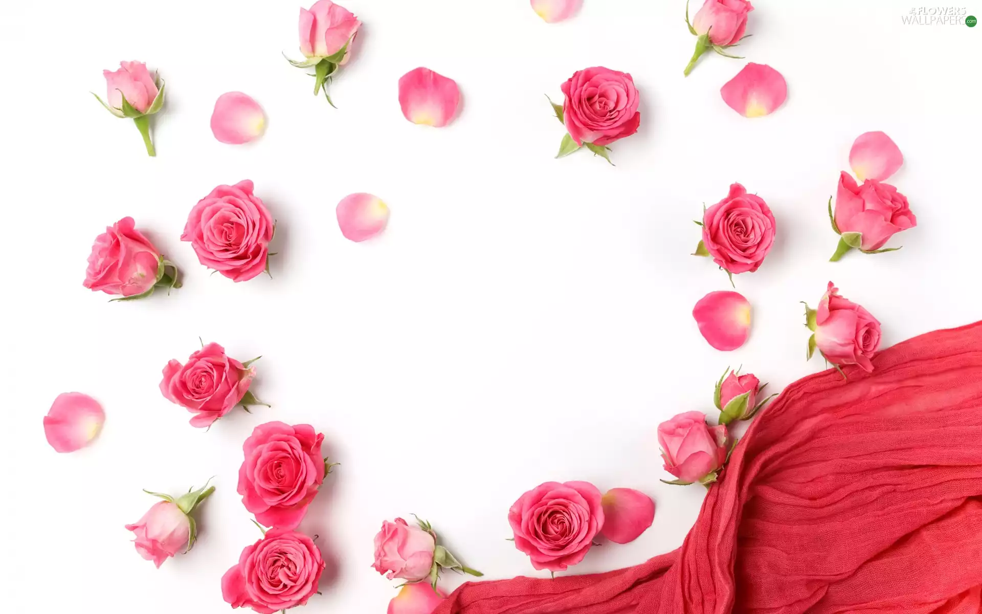 flakes, Flowers, red hot, White Background, shawl, roses