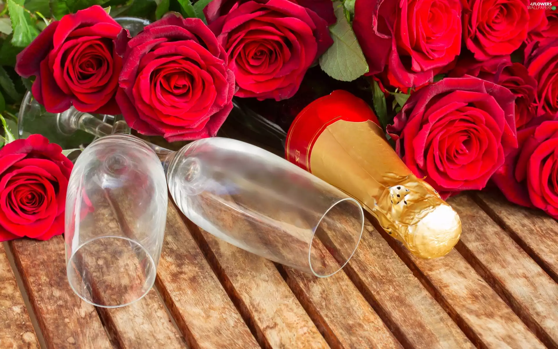 Red, Champagne, glasses, roses