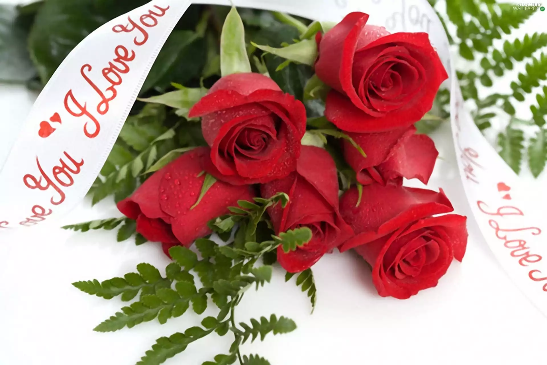 Red, text, love, roses