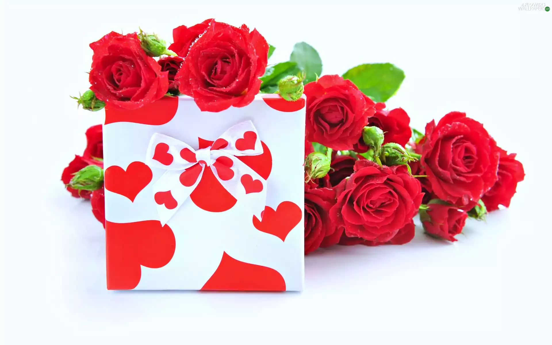 Red, Flowers, Present, roses