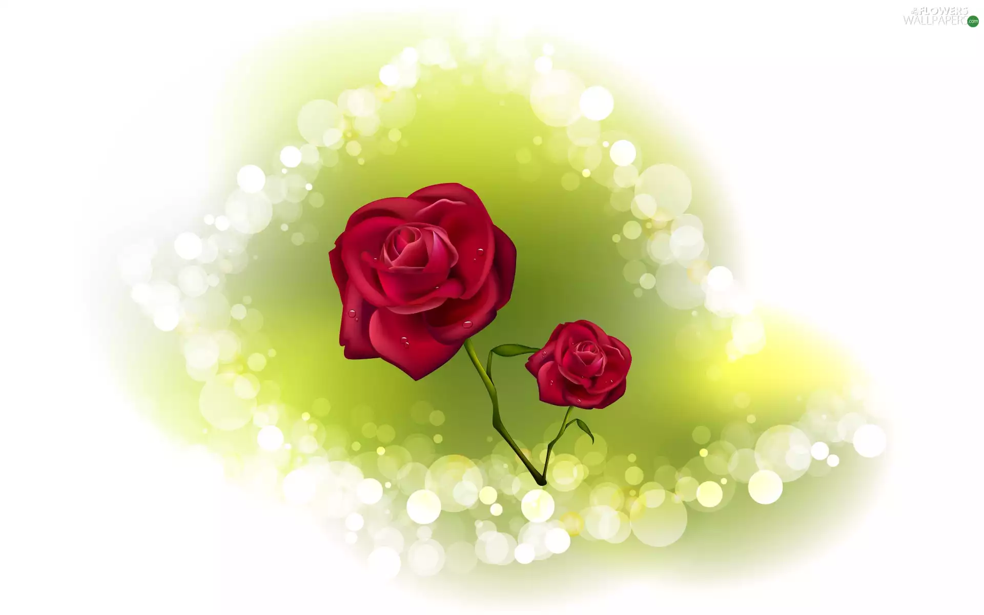 roses, Two, Red
