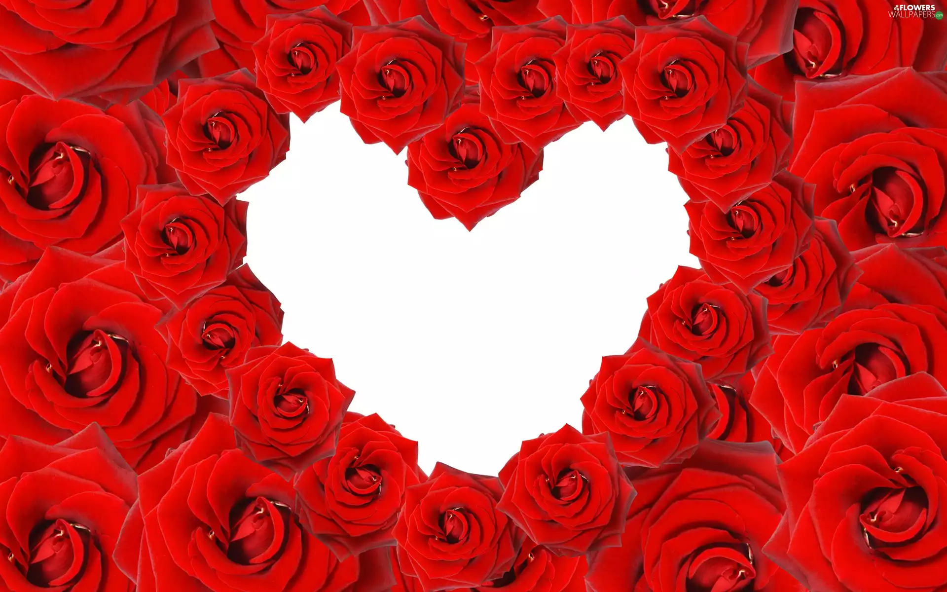 Love things, valentine, roses, Heart, Red