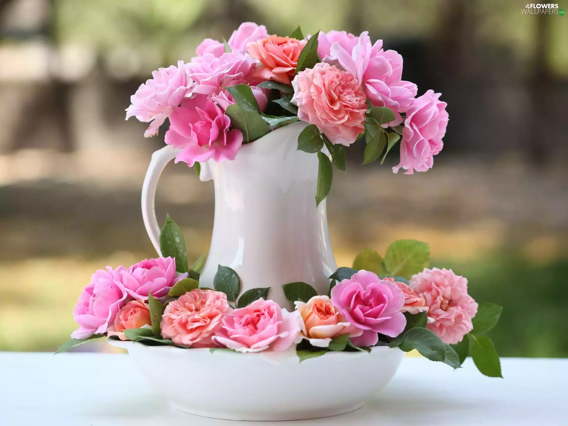 roses, jug, stand