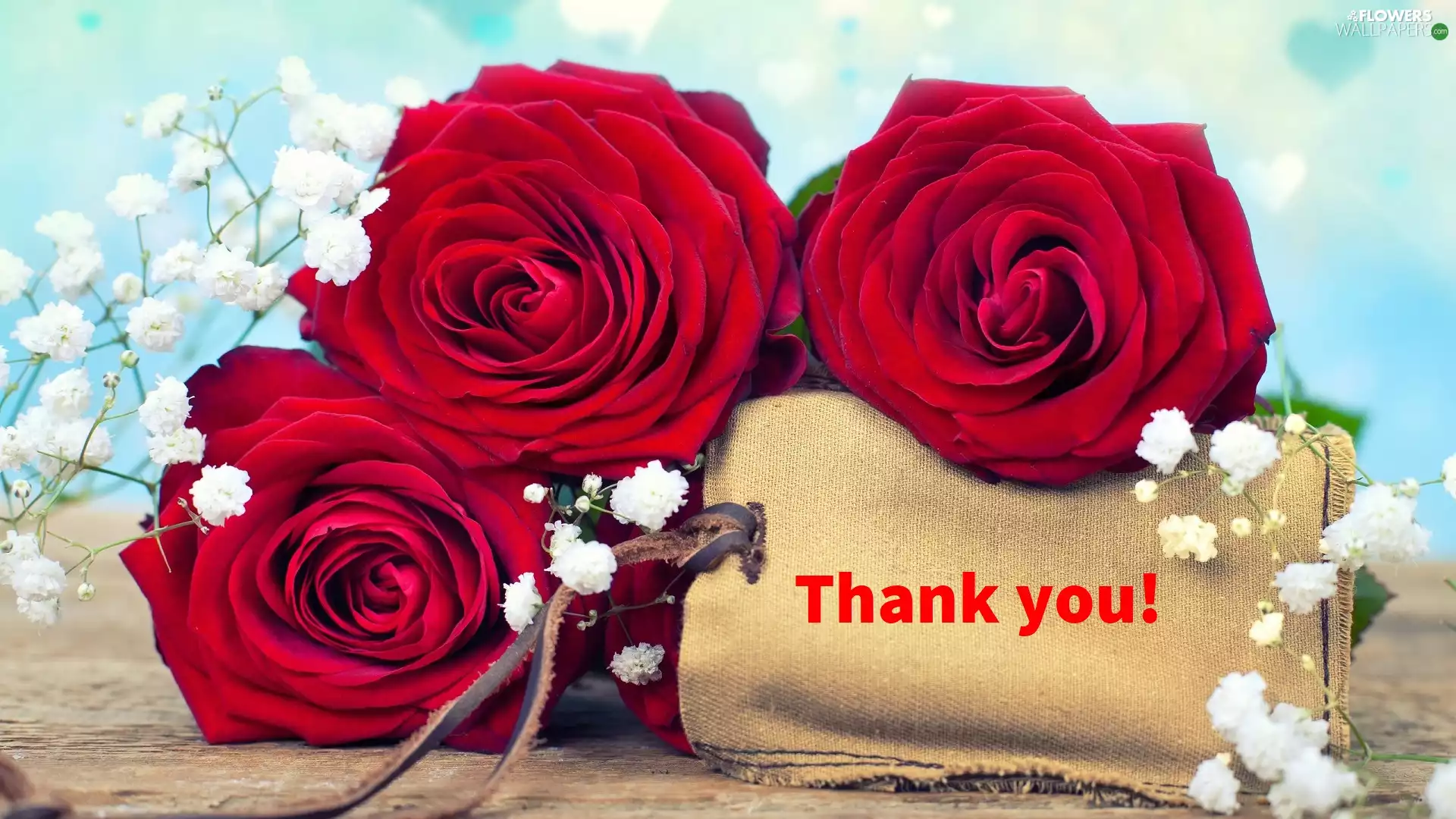 Twigs, Red, text, roses, Three, gypsophile, thanks