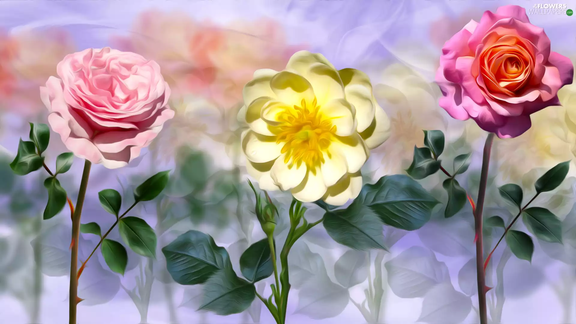 roses, Flowers, Three