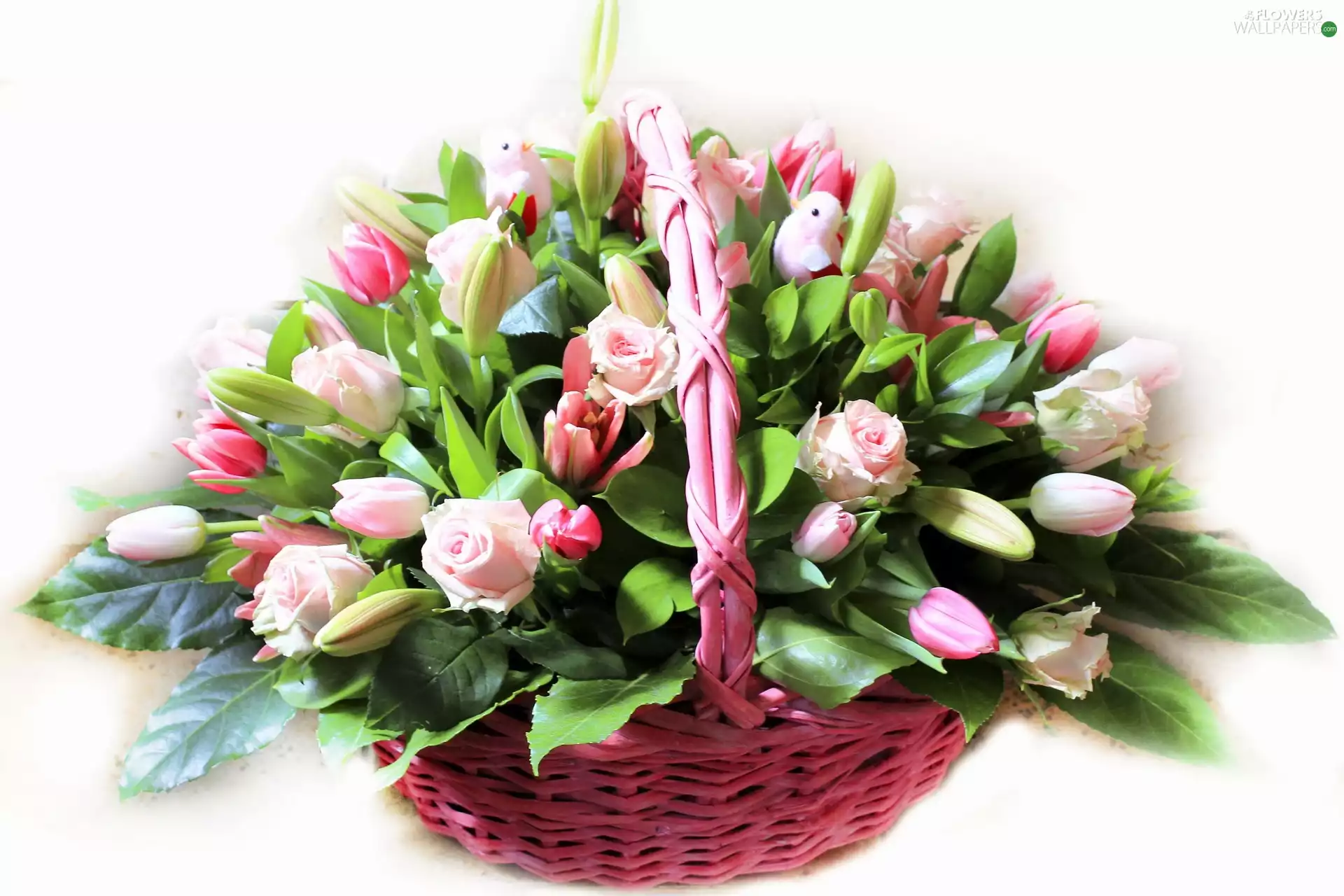 roses, basket, Tulips
