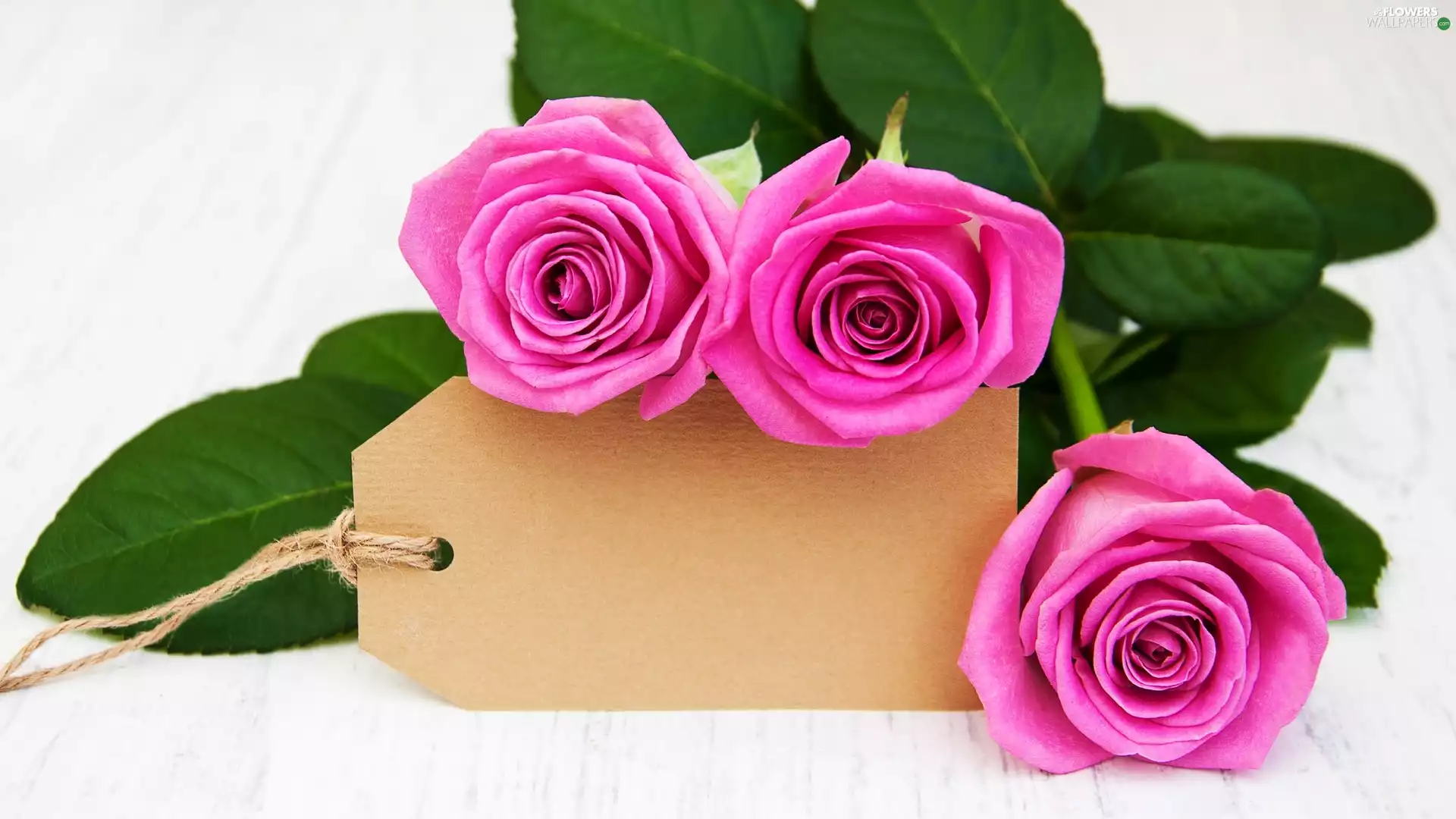 Leaf, Pink, twine, roses, Three, box, Pendant