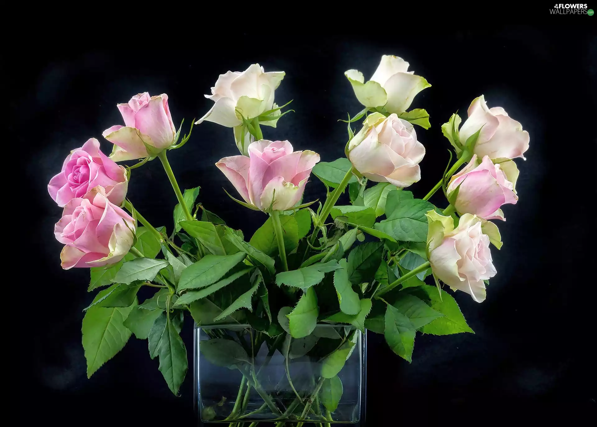 bouquet, roses, Vase, pale pink