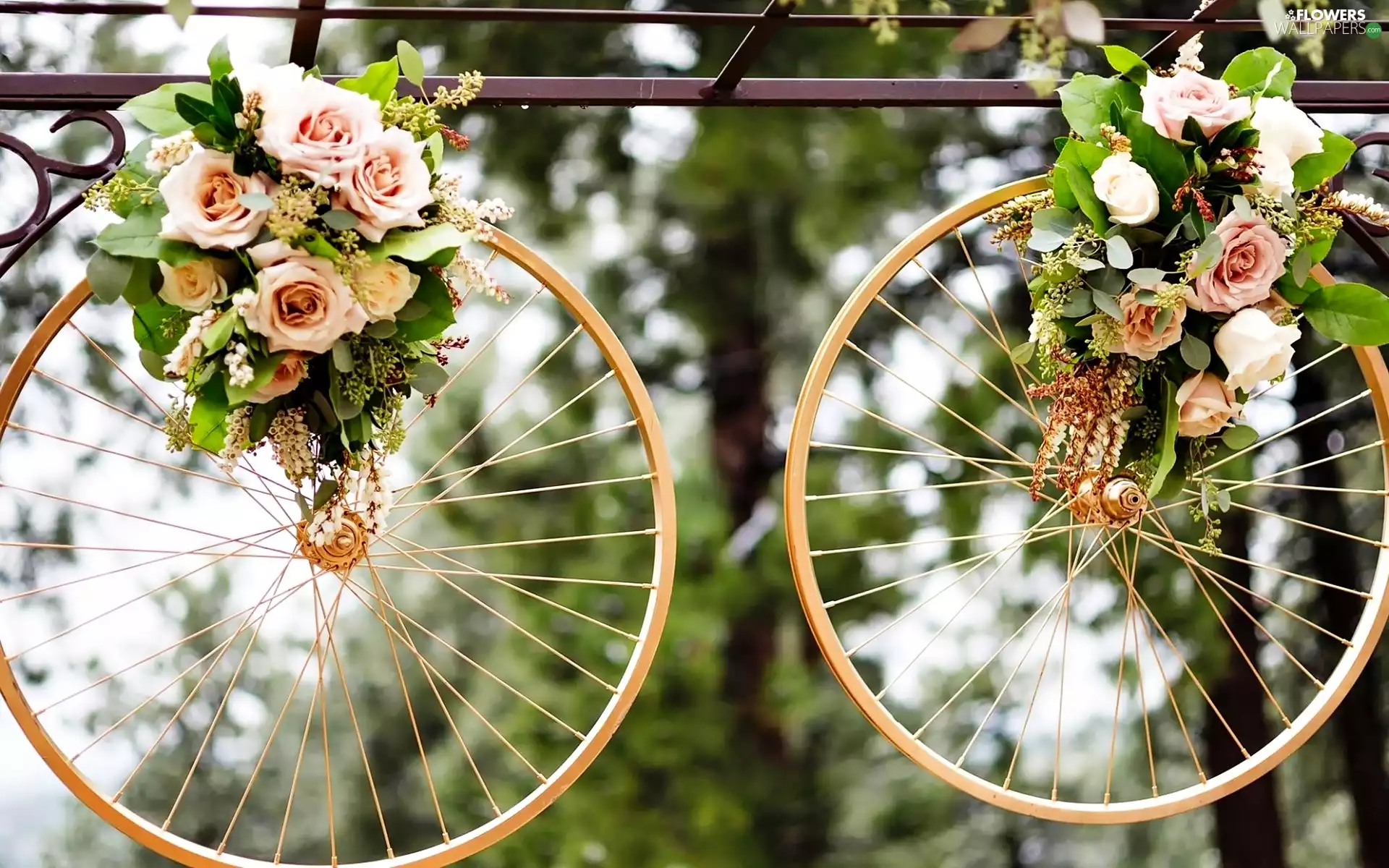 roses, decoration, wheel