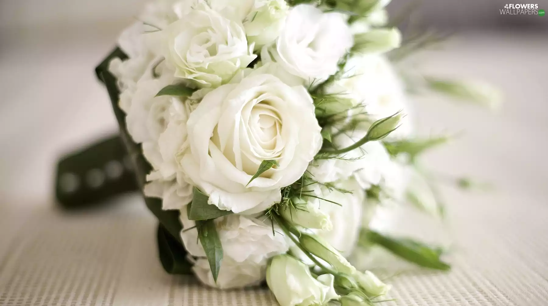 roses, bouquet, White