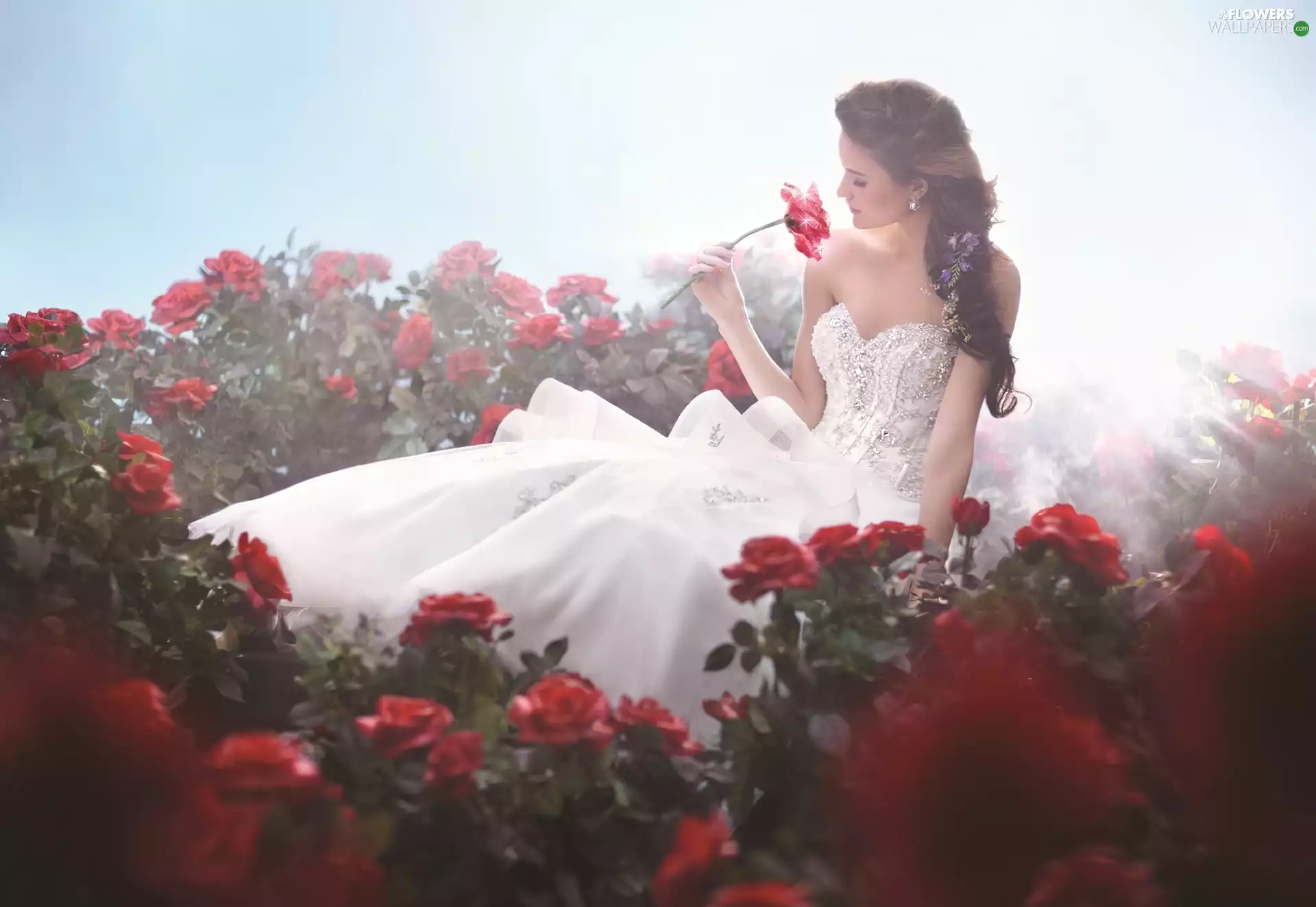 Women, Dress, roses, White