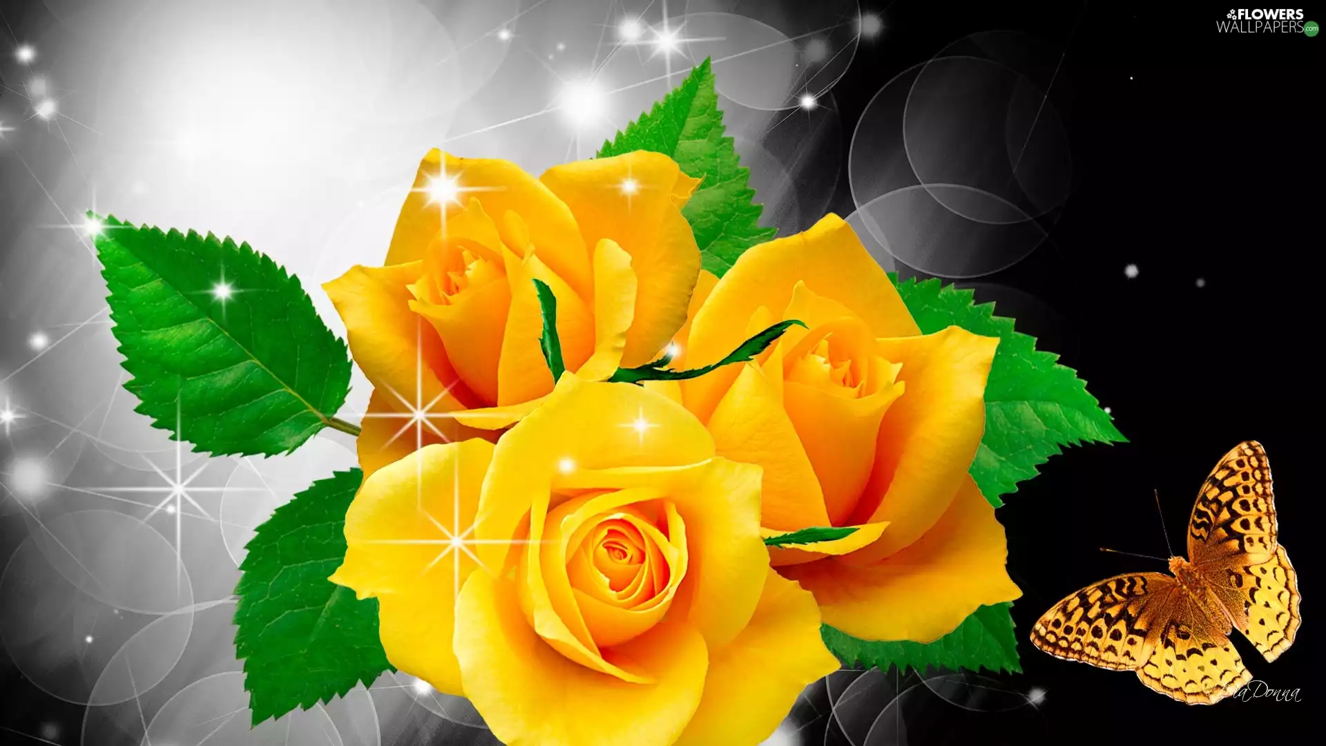Yellow, butterfly, Art, roses