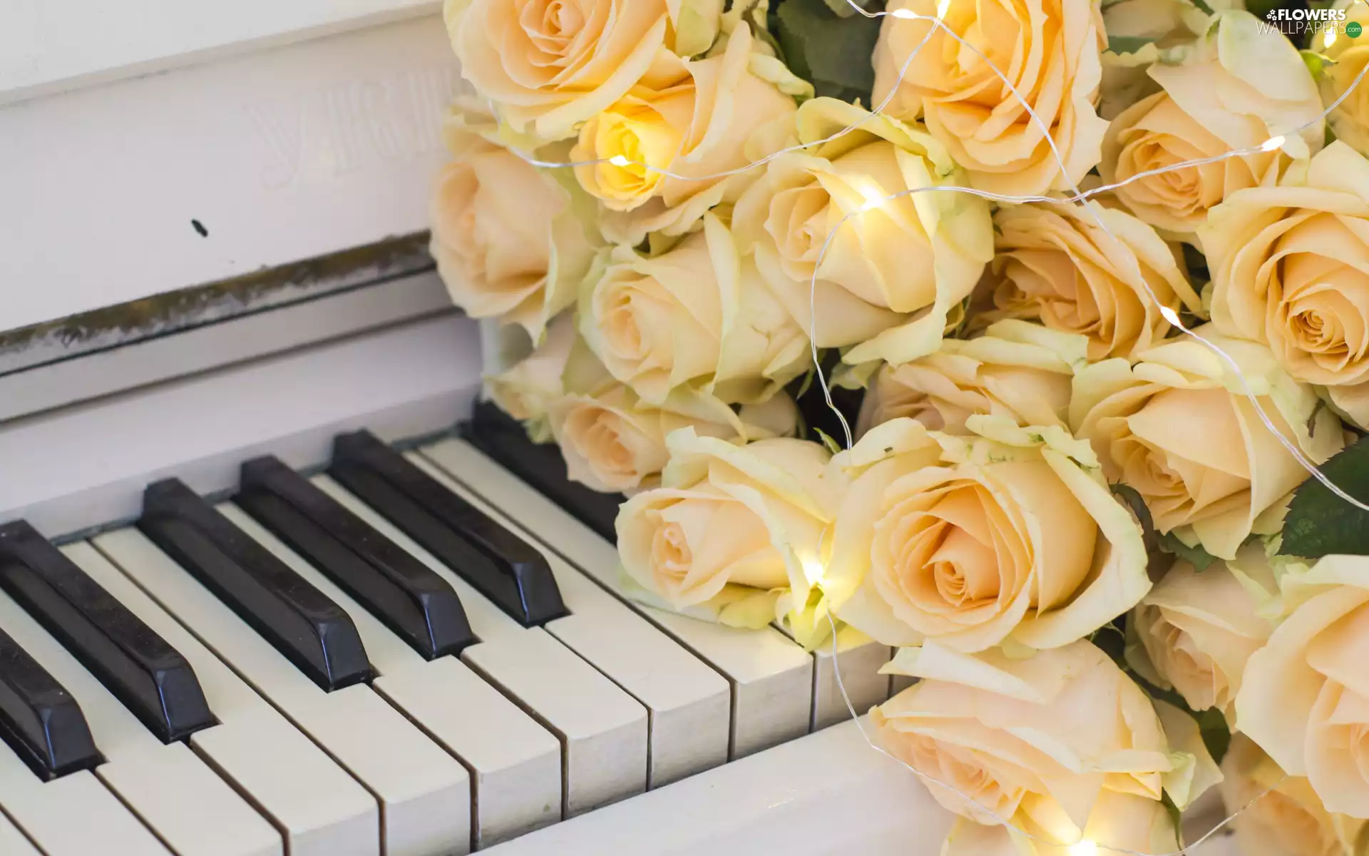 roses, keys, Yellow