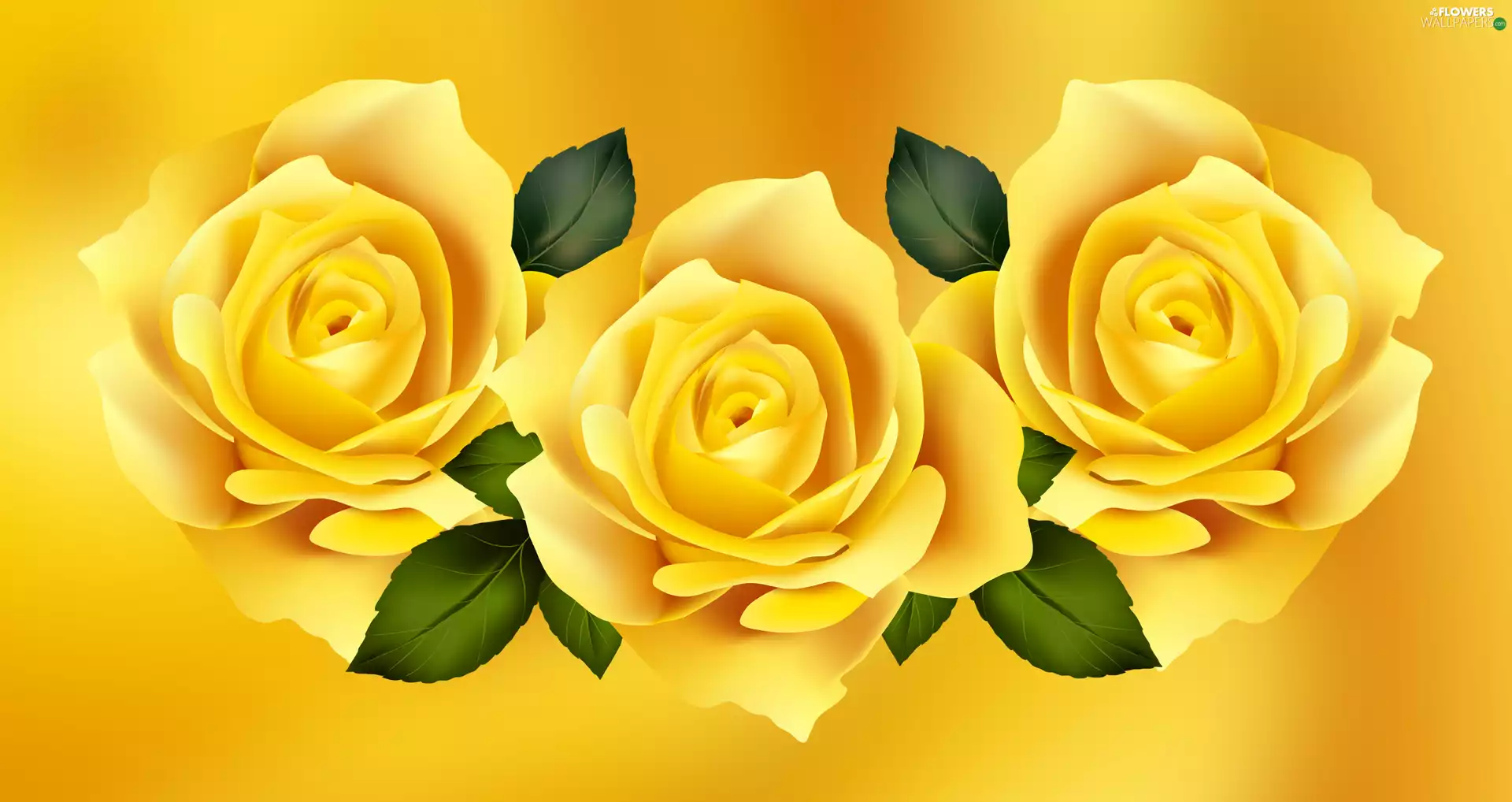 roses, Three, Yellow