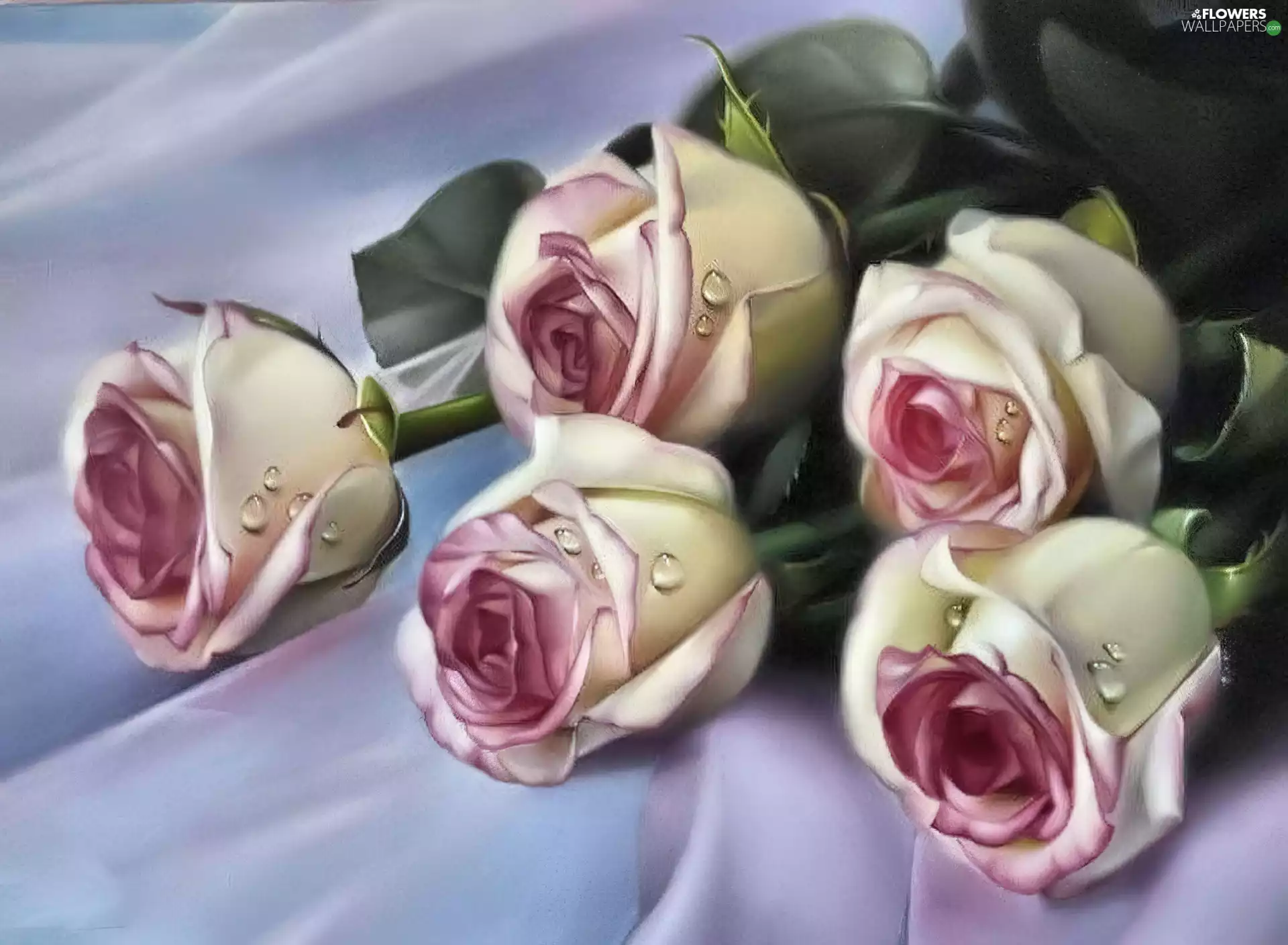 bouquet, white, cherry, rouge